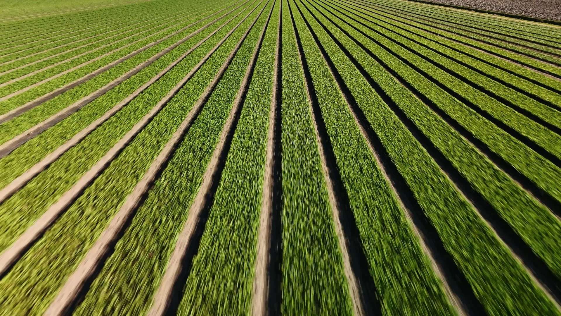 Rabobank | Rabobank Innovatie Lening