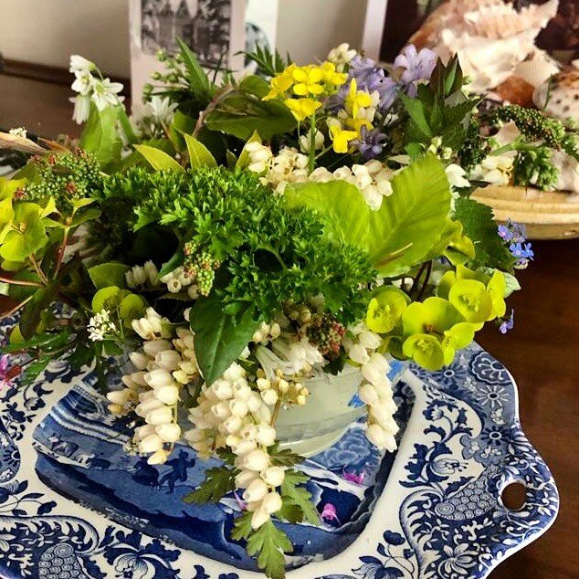 Molte grazie a mia madre, voor jouw eigen stijl en je opvoeding om ons te leren kijken elke dag weer. En het maken van die gezellige blommen, kruiden, bosjes, natuurlijk lief! #learntolookandlove #tradizione #raffinatezza #fortunata #parsley photocre