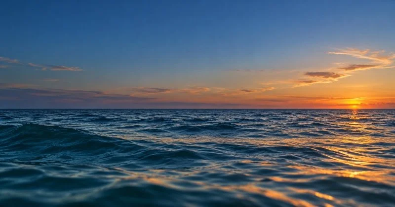 The AI watermark: Do we care?