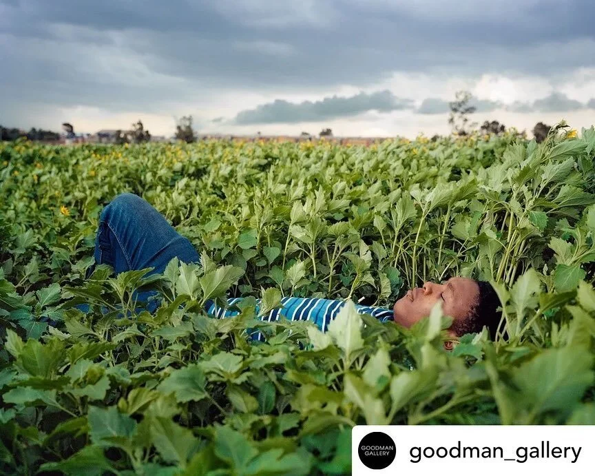 Posted @withregram &bull; @goodman_gallery View @lindokuhle.sobekwa&rsquo;s solo presentation as part of @investeccapetownartfair&rsquo;s  Tomorrows/ Today programme! 

HEART OF THE GARDEN
Lindokuhle Sobekwa (South Africa, 1995)
Goodman Gallery (Cape