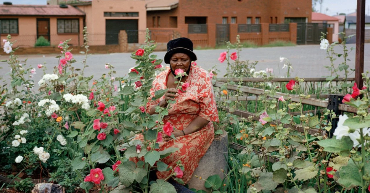 Lindo - Heart of a Garden.jpeg