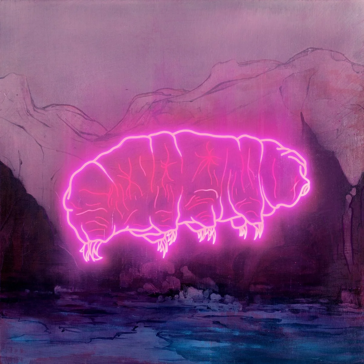 tardigrade.jpg
