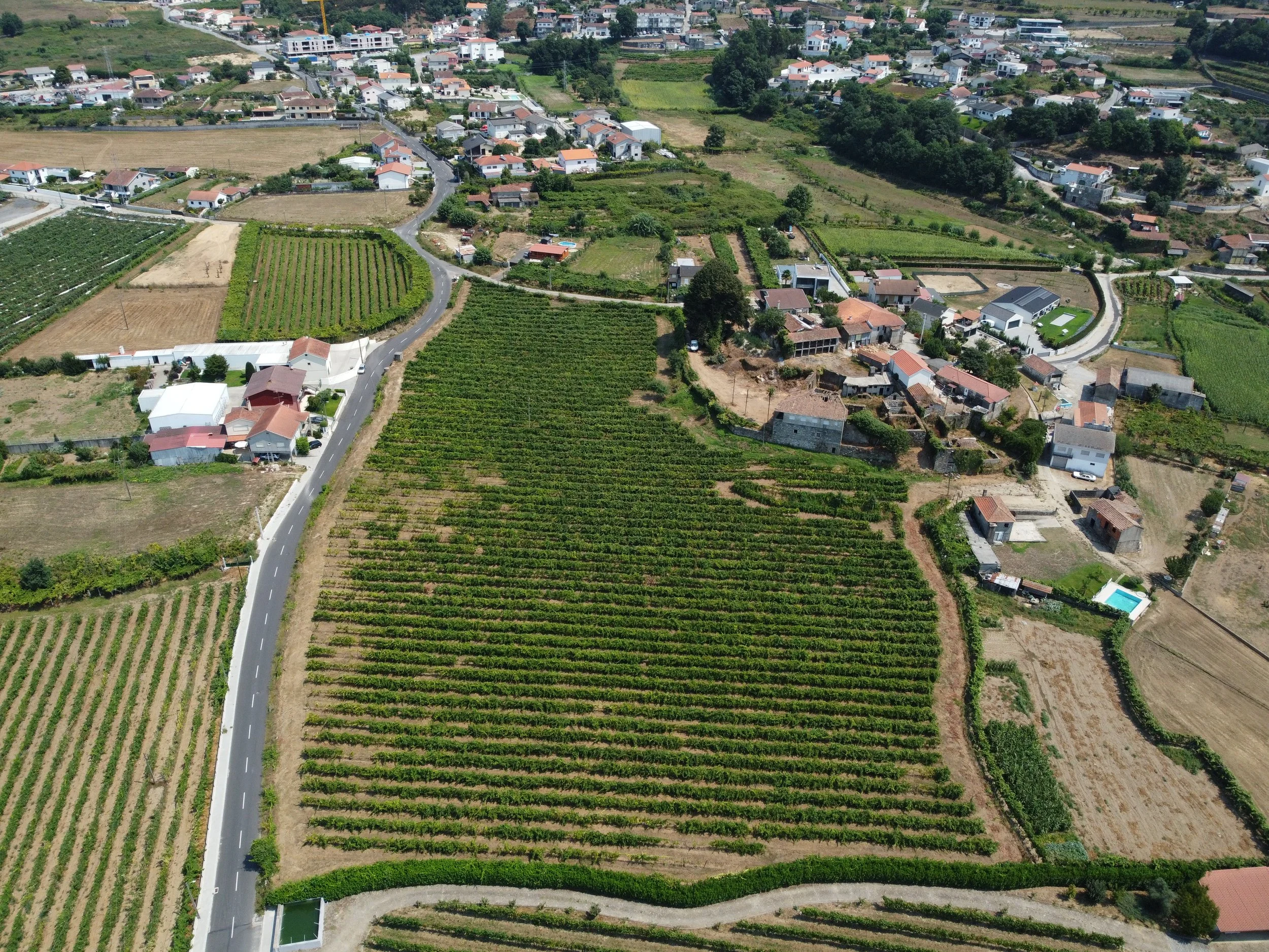 DJI_0618.JPG