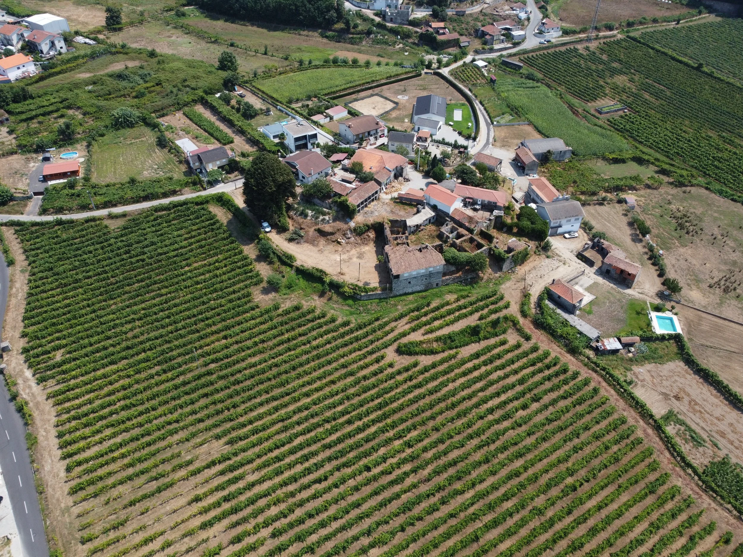 DJI_0615.JPG