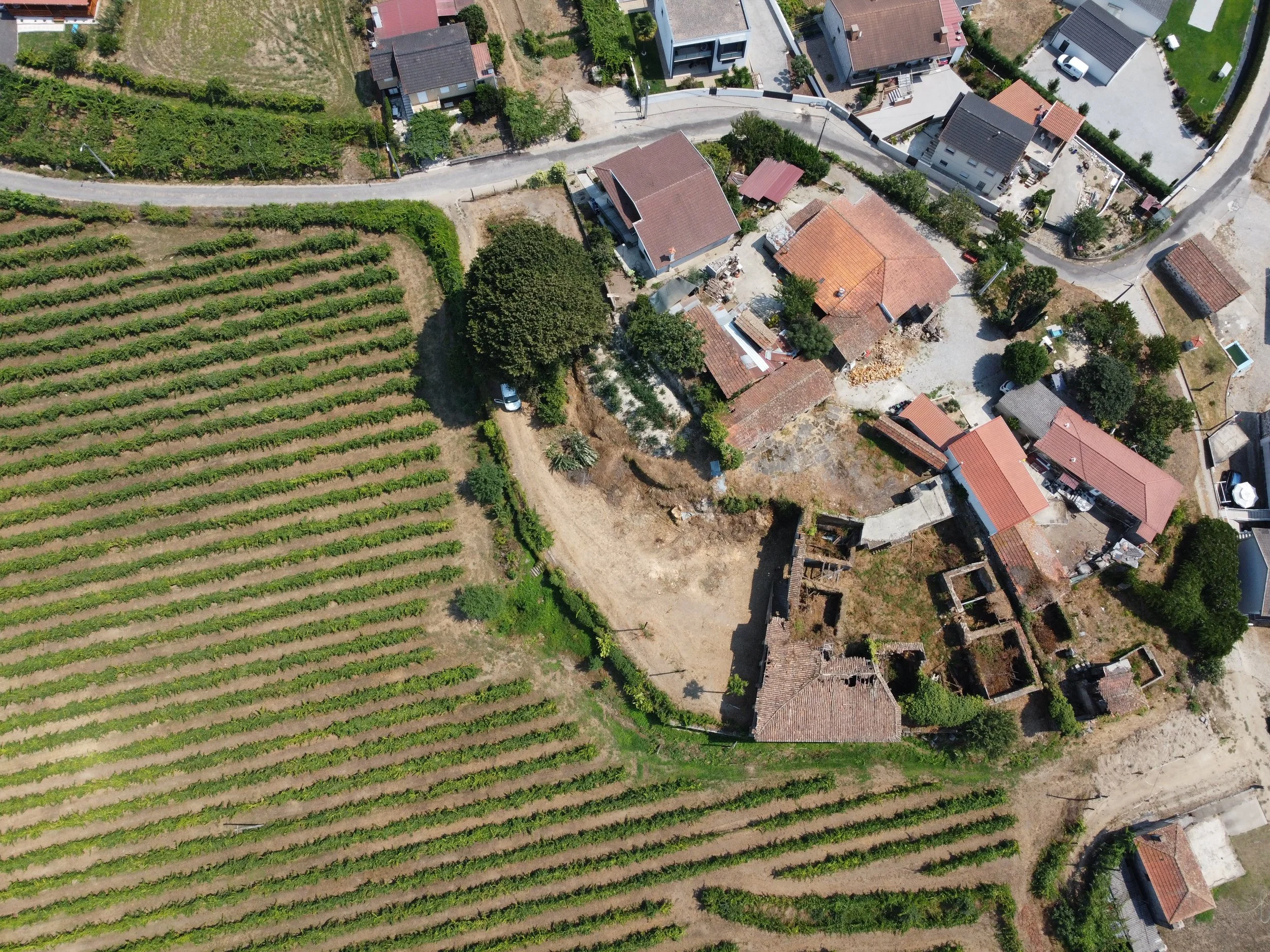 DJI_0613.JPG