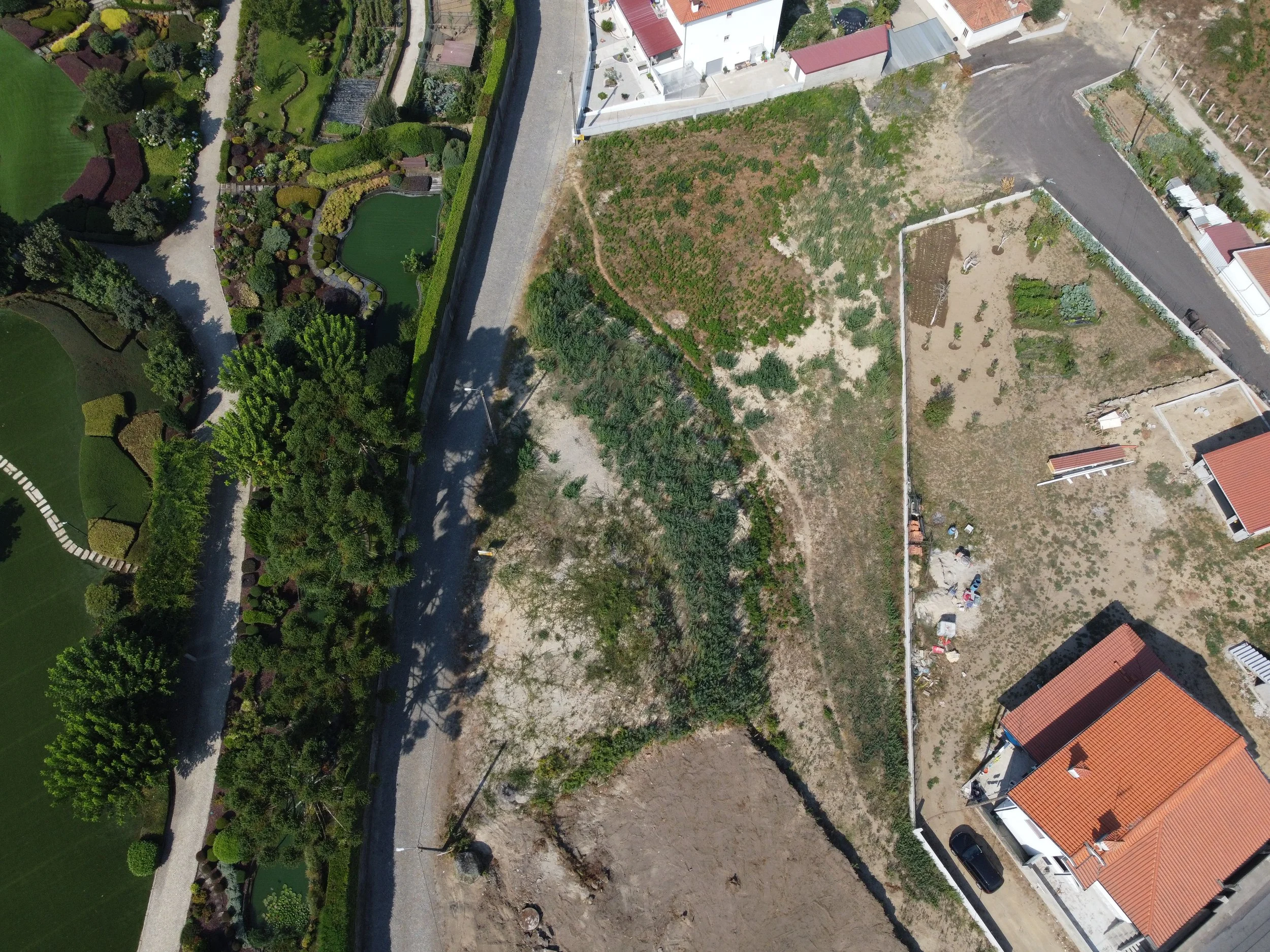 DJI_0561.JPG