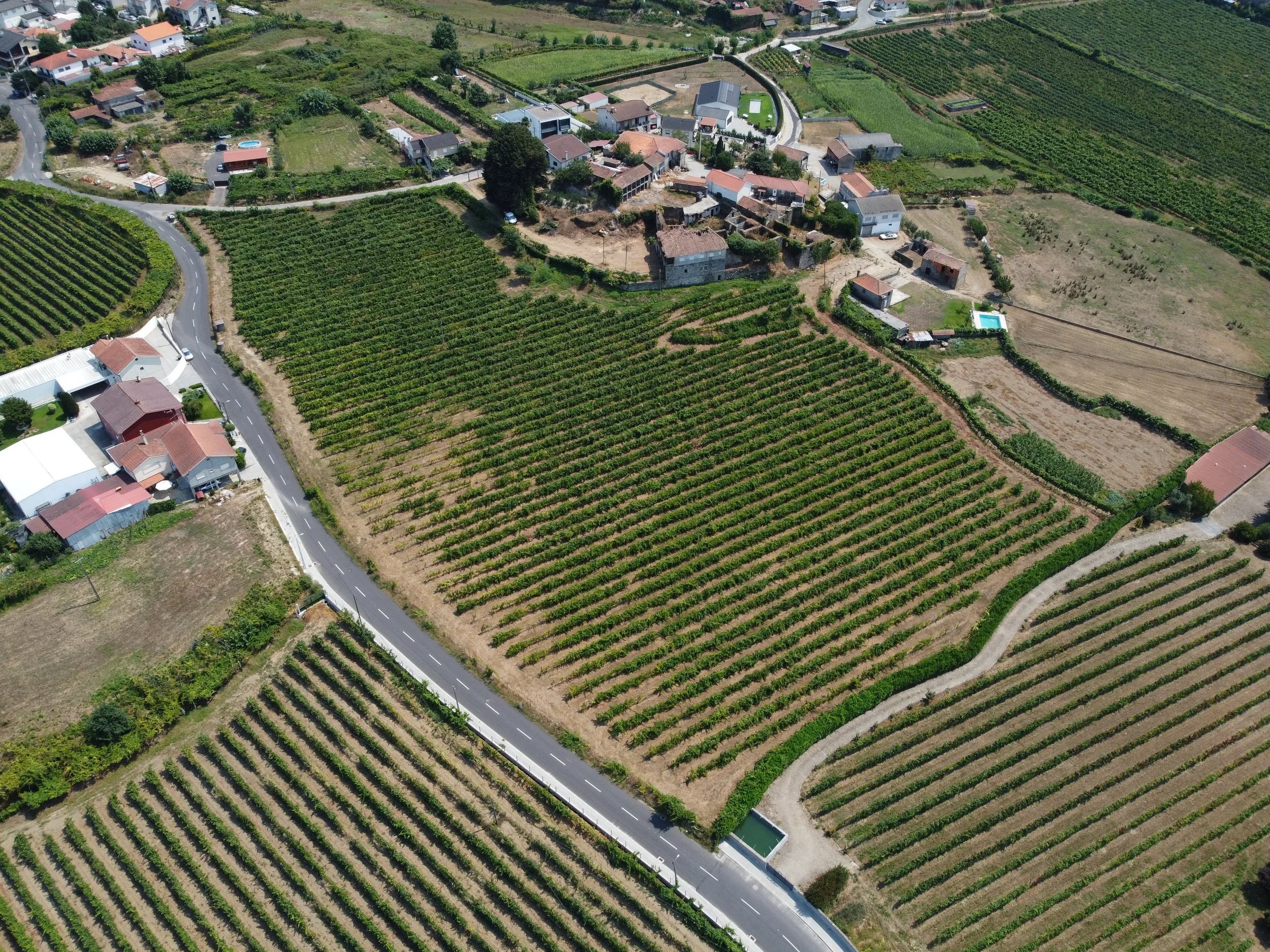 DJI_0617.JPG