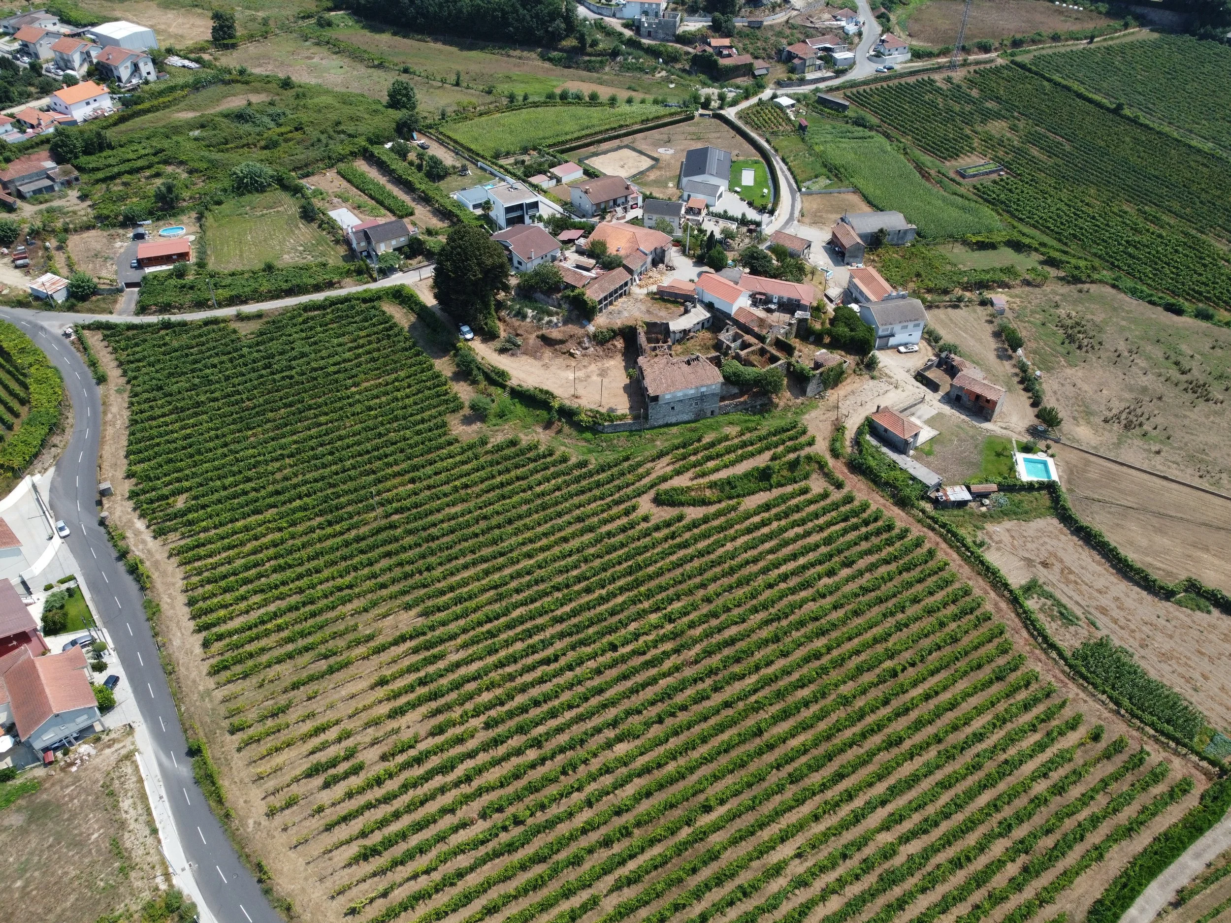 DJI_0616.JPG