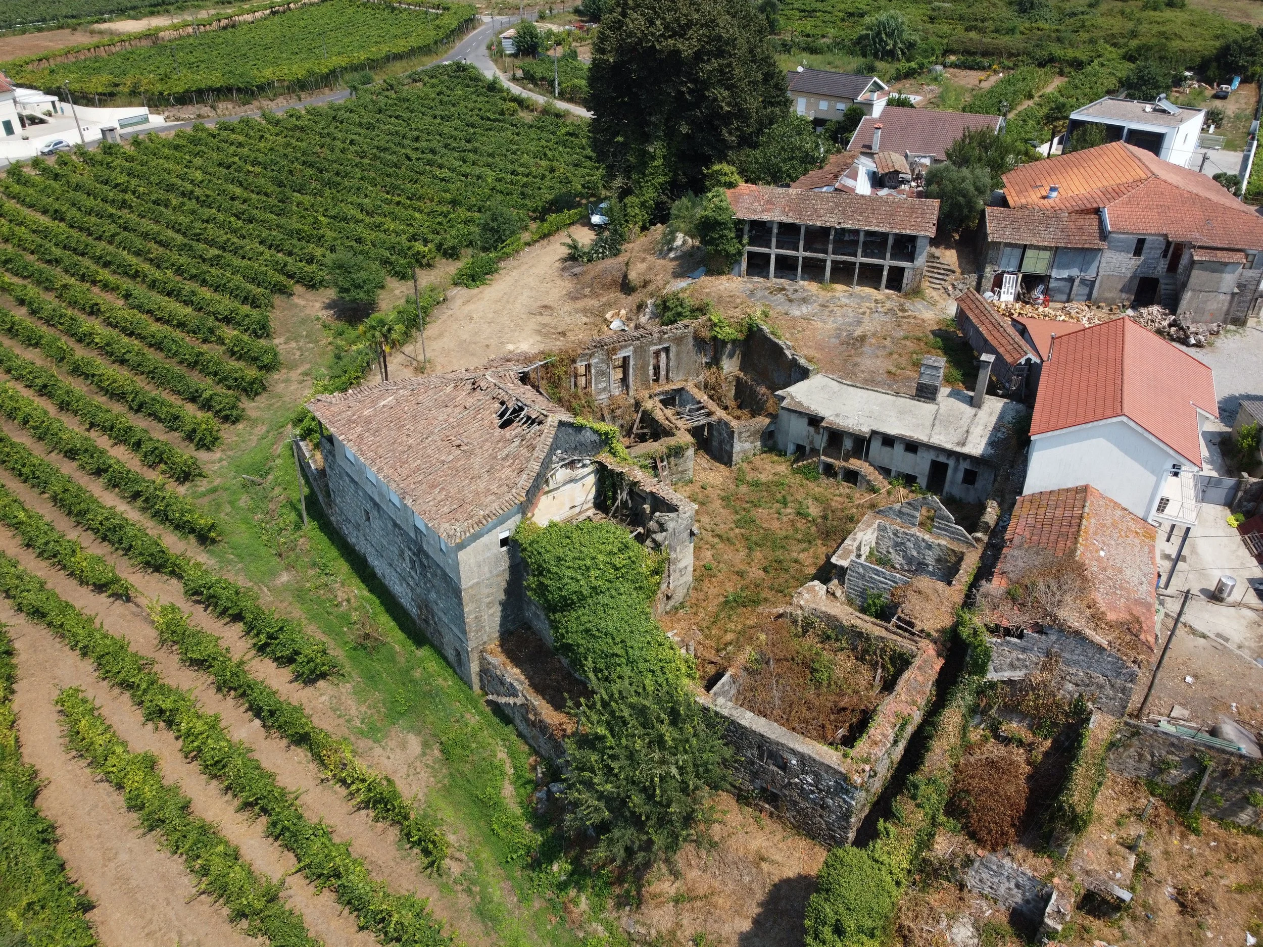 DJI_0610.JPG
