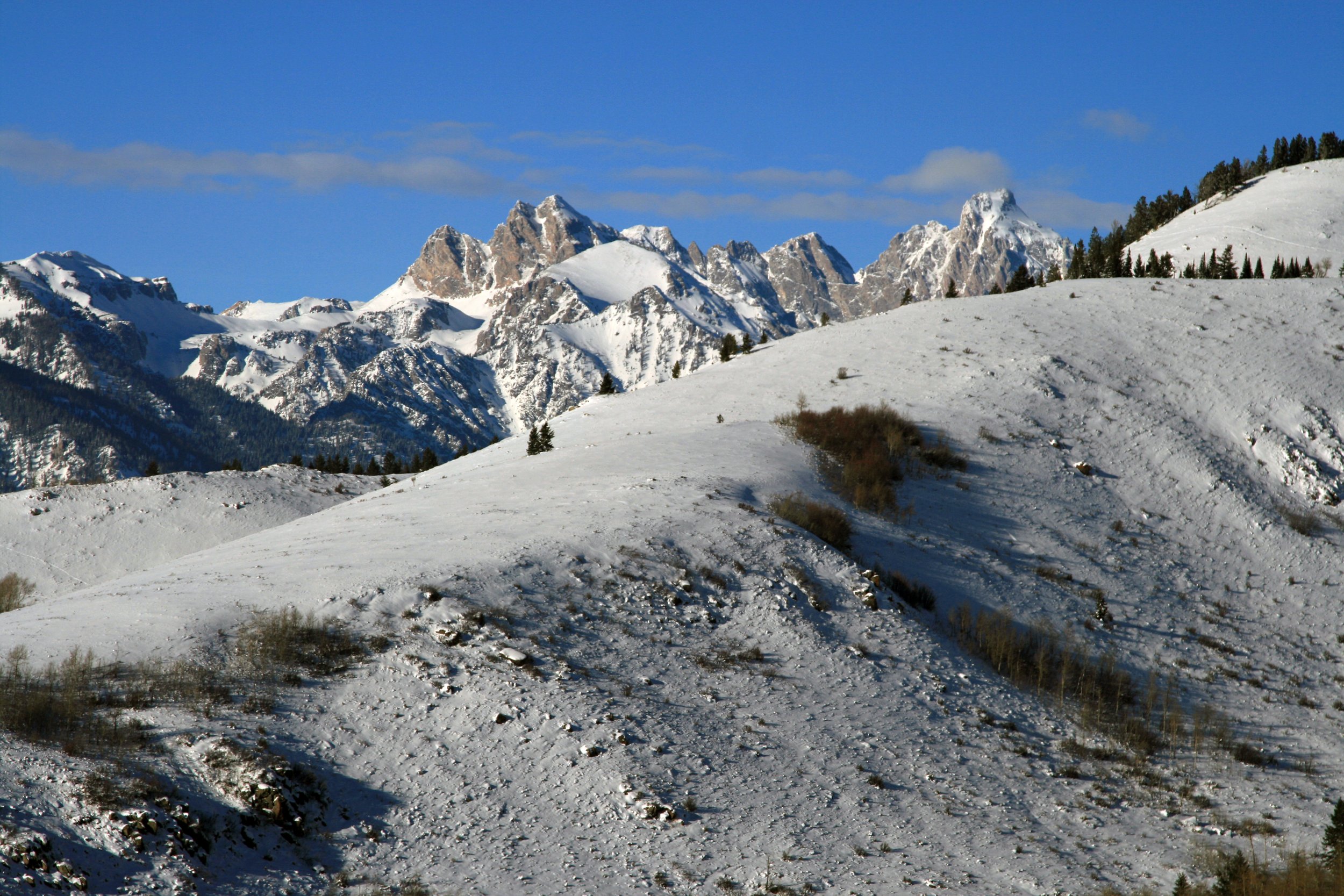 When Is the Best Time of Year to List a Property in Jackson Hole?