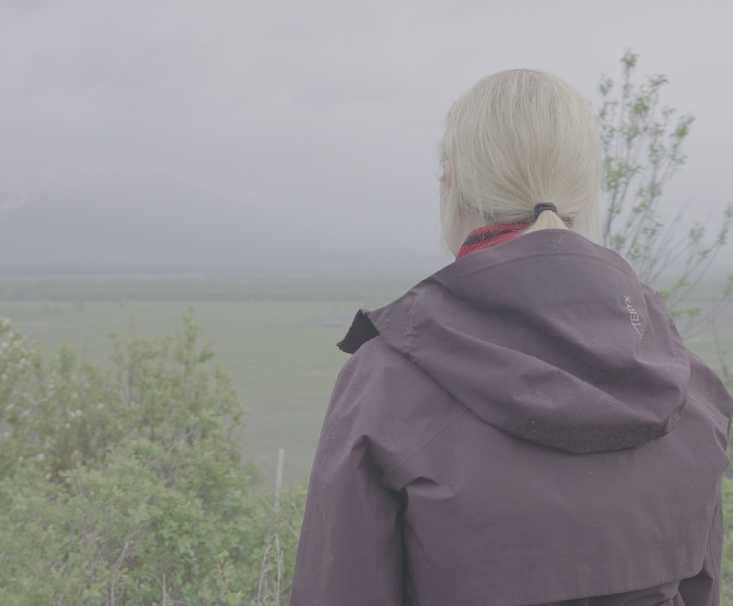 Do I Need a Local Real Estate Agent to Buy in Jackson Hole?