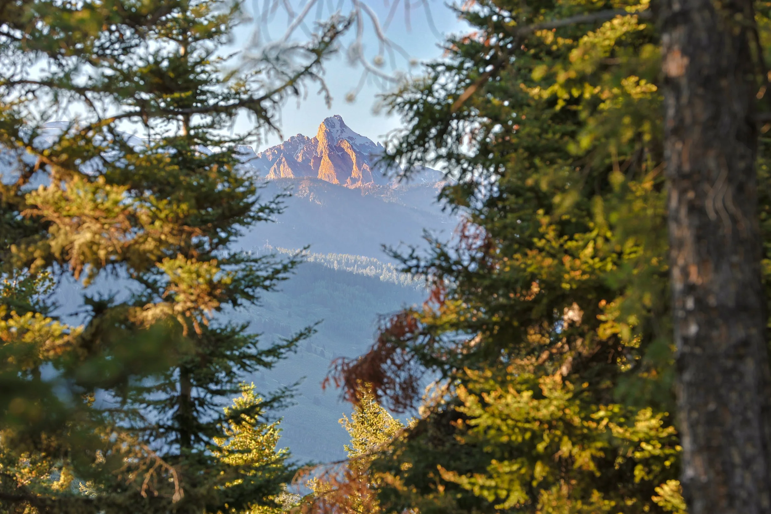 What Hidden Costs Should Buyers Expect in Jackson Hole?