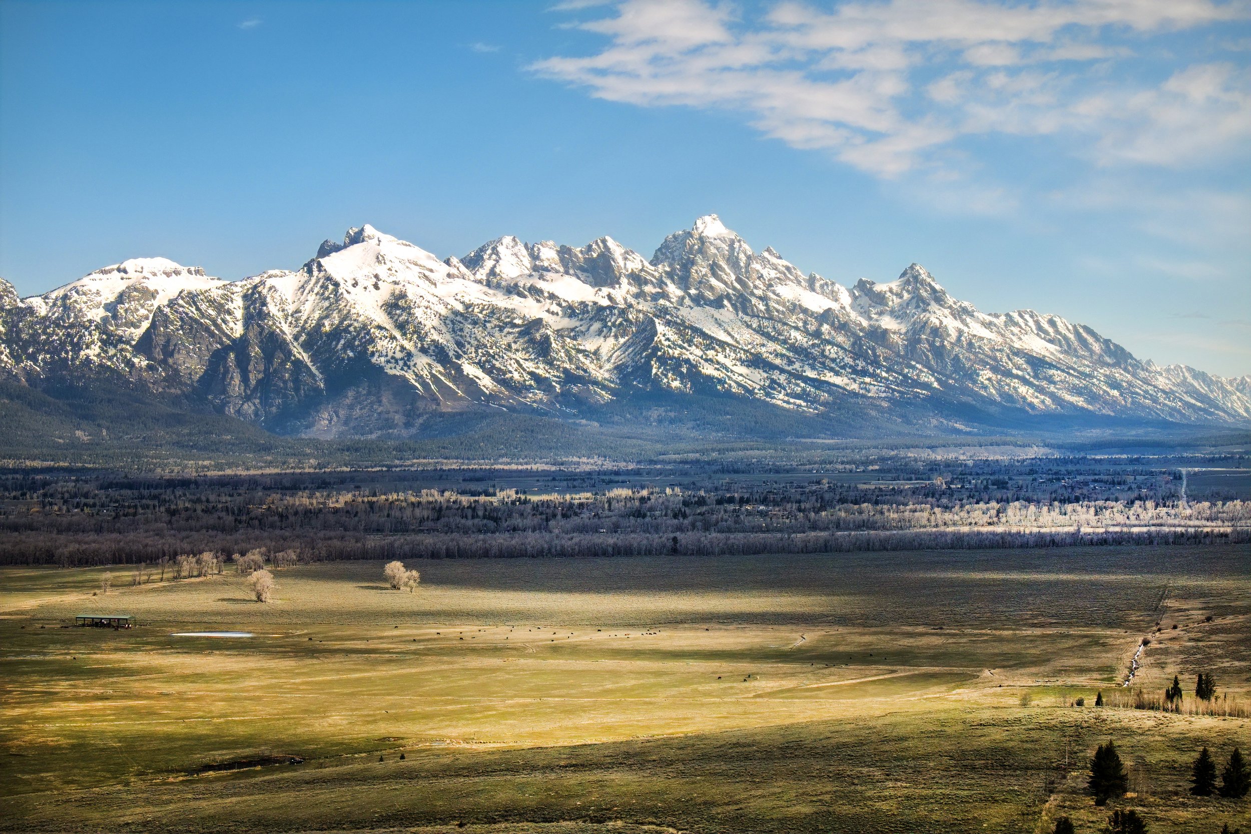 What Should Buyers Know Before Purchasing in Jackson Hole?