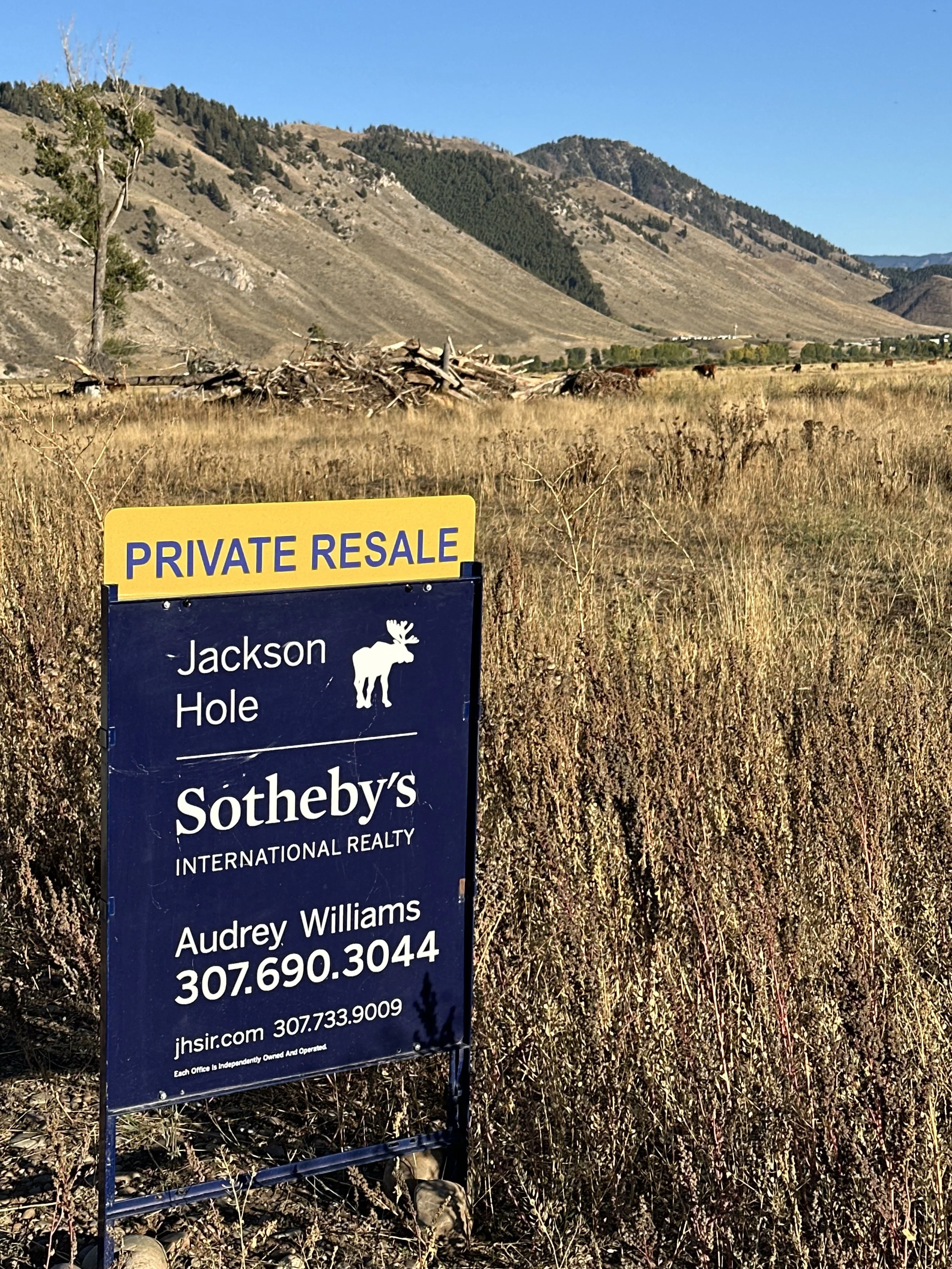 Real estate sign in front of mountains in a new development in Jackson Hole.
