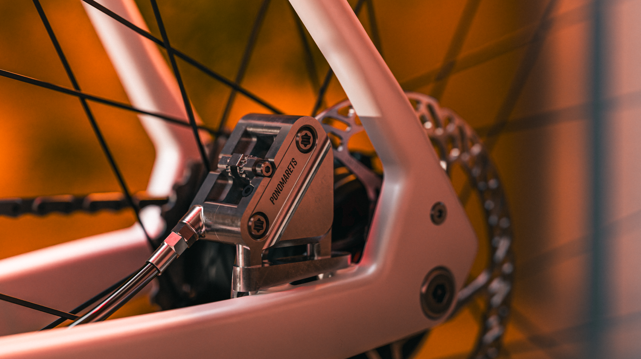 Ponomarets EIDOLON rear brake calliper and rotor close-up.