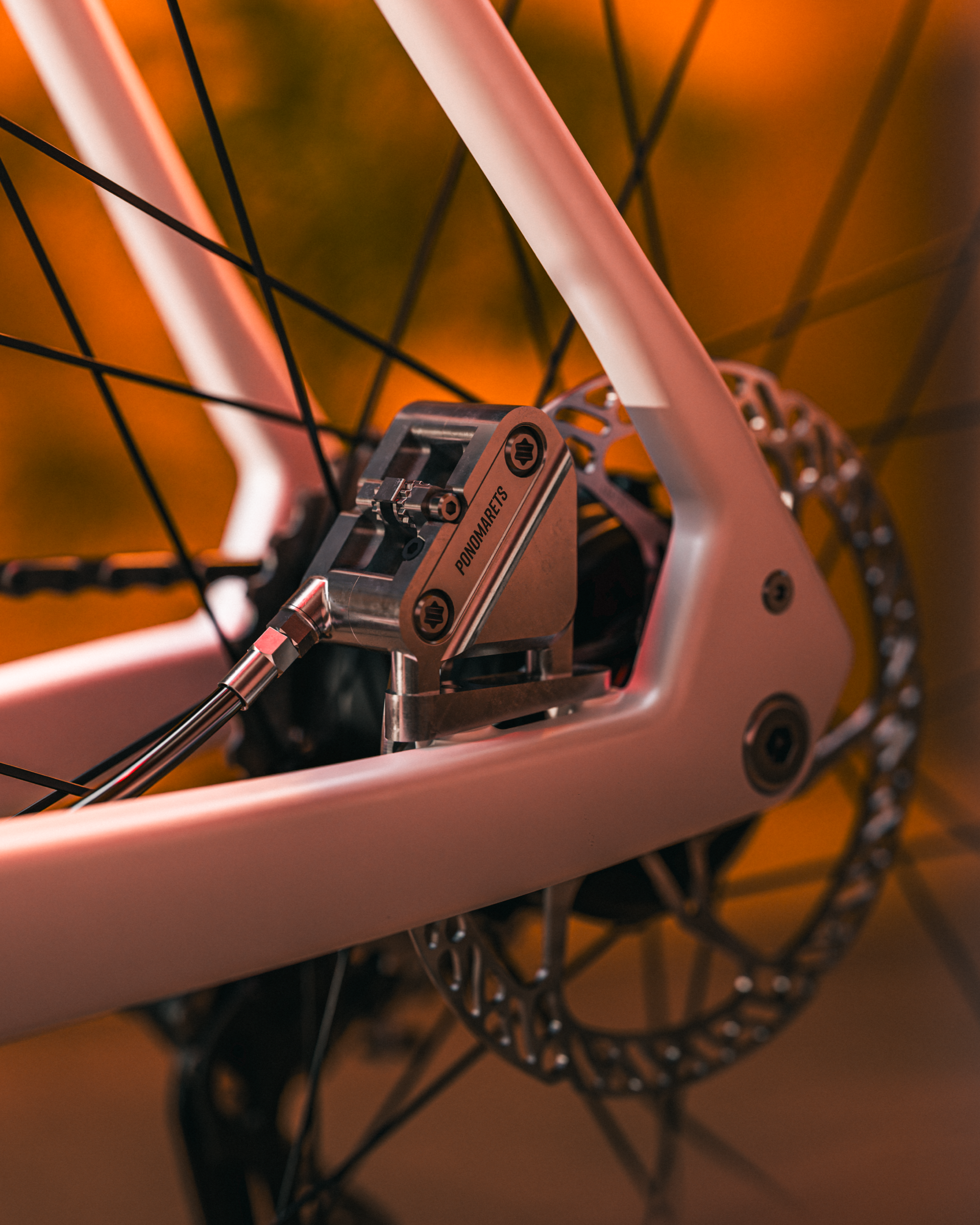 Ponomarets EIDOLON rear brake calliper and rotor close-up.