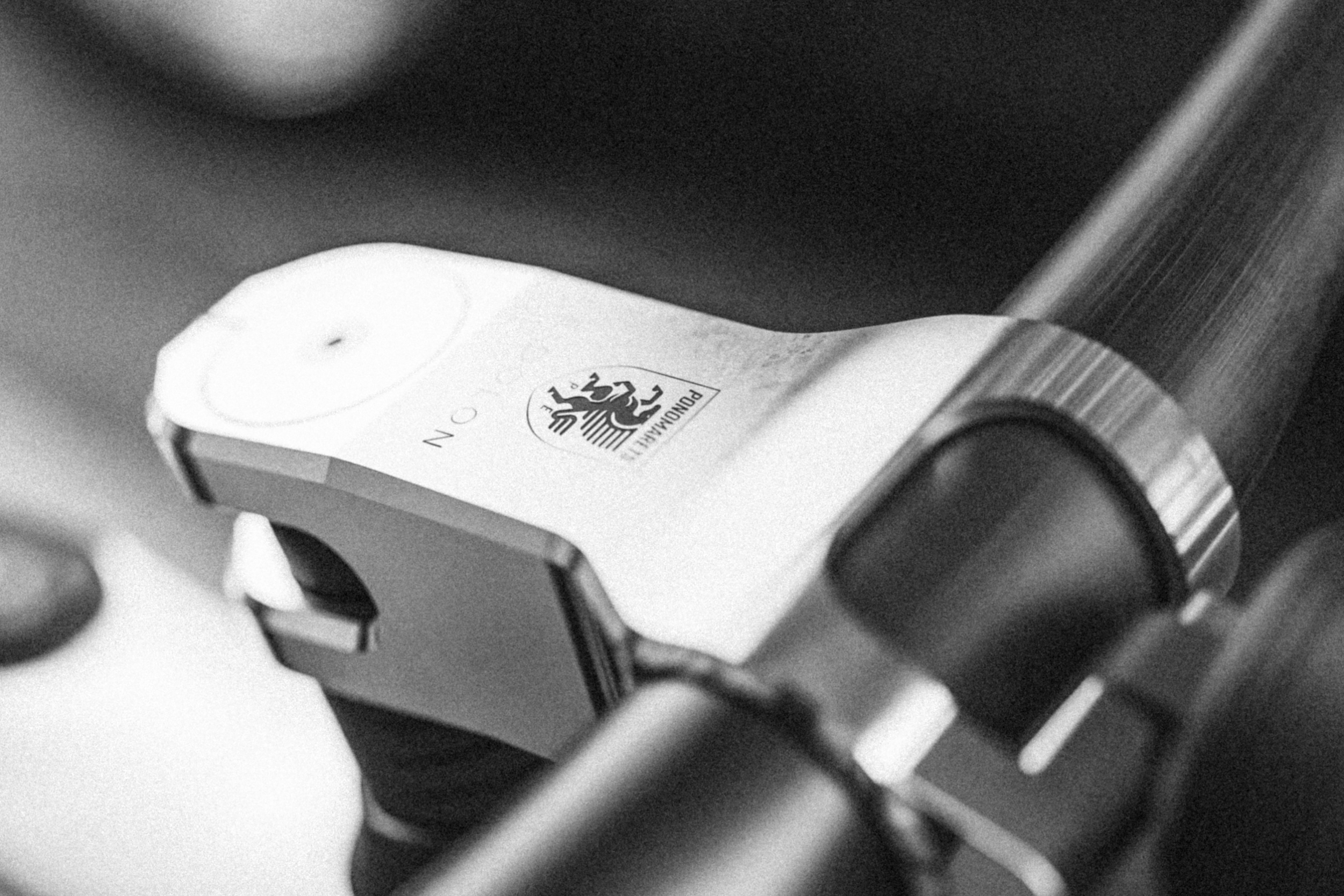 Ponomarets stem close-up with crest.