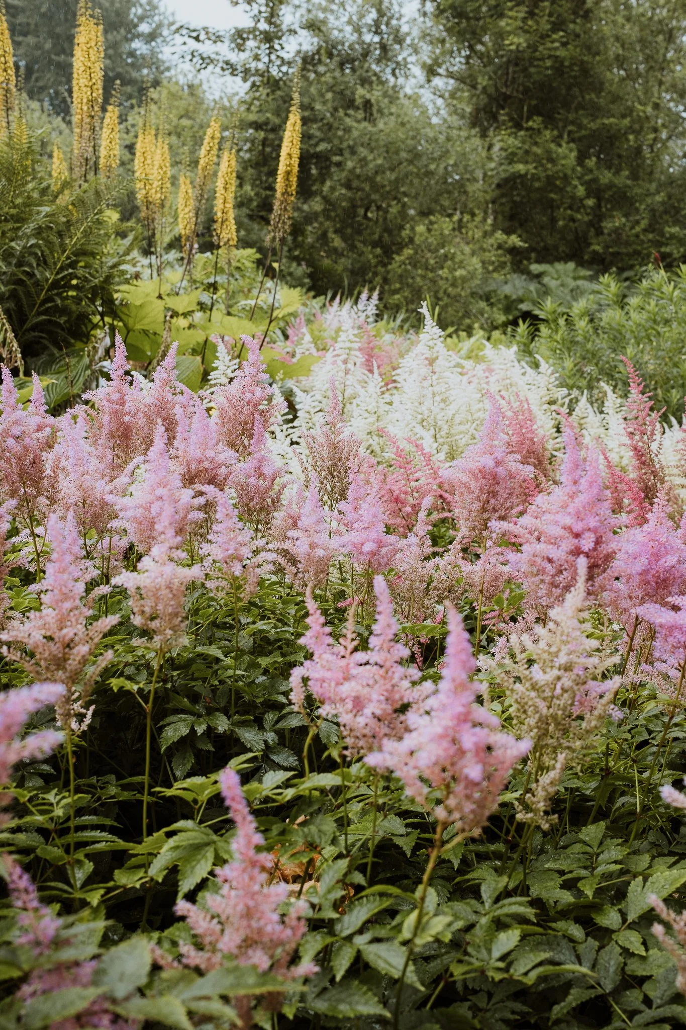 DSCF1064.jpg