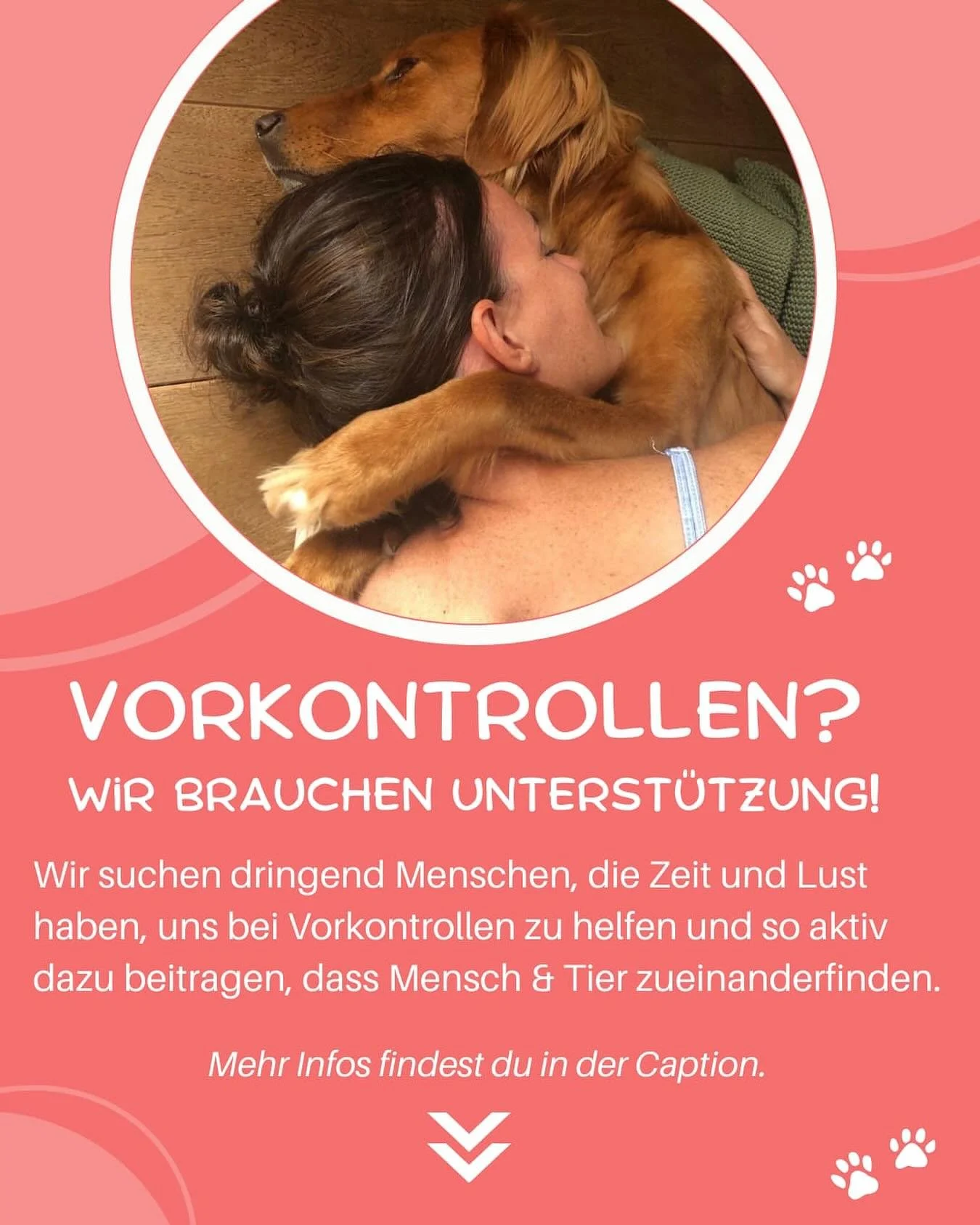 Wir suchen Unterstützung bei Vorkontrollen 🩵
Vorkontrollen sind für uns einer der wichtigsten Schritte, bevor ein Tier in sein neues Zuhause ziehen kann. Dabei geht es nicht nur um die Wohnsituation, sondern darum, die Menschen hinter ein