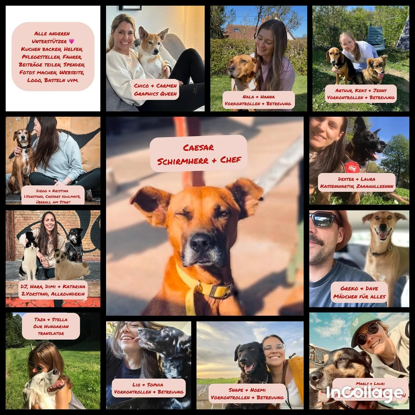 Hinter Caesars Animal Club e.V. steht ein starkes Team.
Die wundervollen Menschen auf den Bildern – und all jene, die man nicht immer sieht.
Die backen, basteln, spenden, organisieren, designen, helfen, mitdenken, anpacken.
Jede einzelne Per