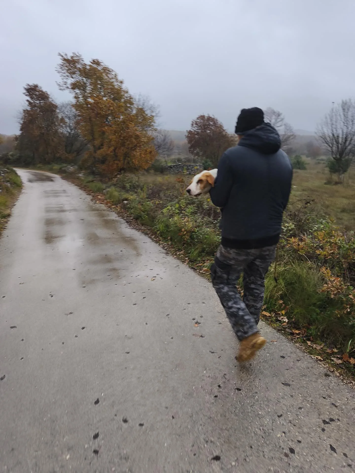 Neuer Notfall. Hundem&auml;dchen Rain 🩵 

Sie ist Zeljana &amp; Srdan auf dem Weg zum Shelter vor einer Woche zugelaufen. Komplett durchn&auml;sst und v&ouml;llig abgemagert. Bitte h&ouml;rt euch das Video an als sie Futter bekommt. Diese Freude, di