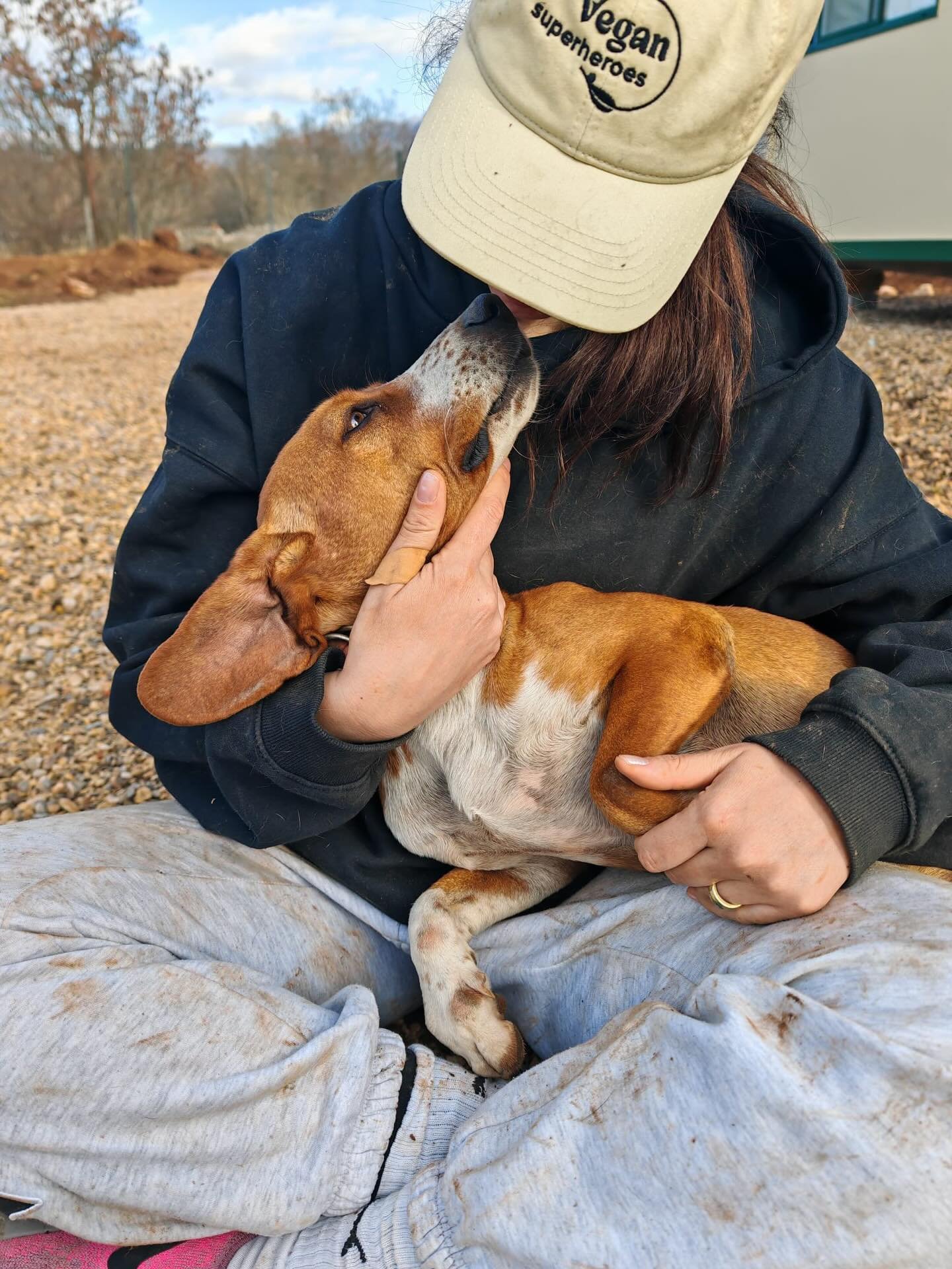 #adoptdontshop 

Das ist Venecija ❤️

-4J
-liebt den Menschen
-mit Kleinkindern gro&szlig; geworden
-aufgeschlossen, freundlich 
-Leishmaniose positiv (unter dem Schwellentiter und derzeit nicht behandlungsbed&uuml;rftig)

Auch sie sucht noch ihre Fa