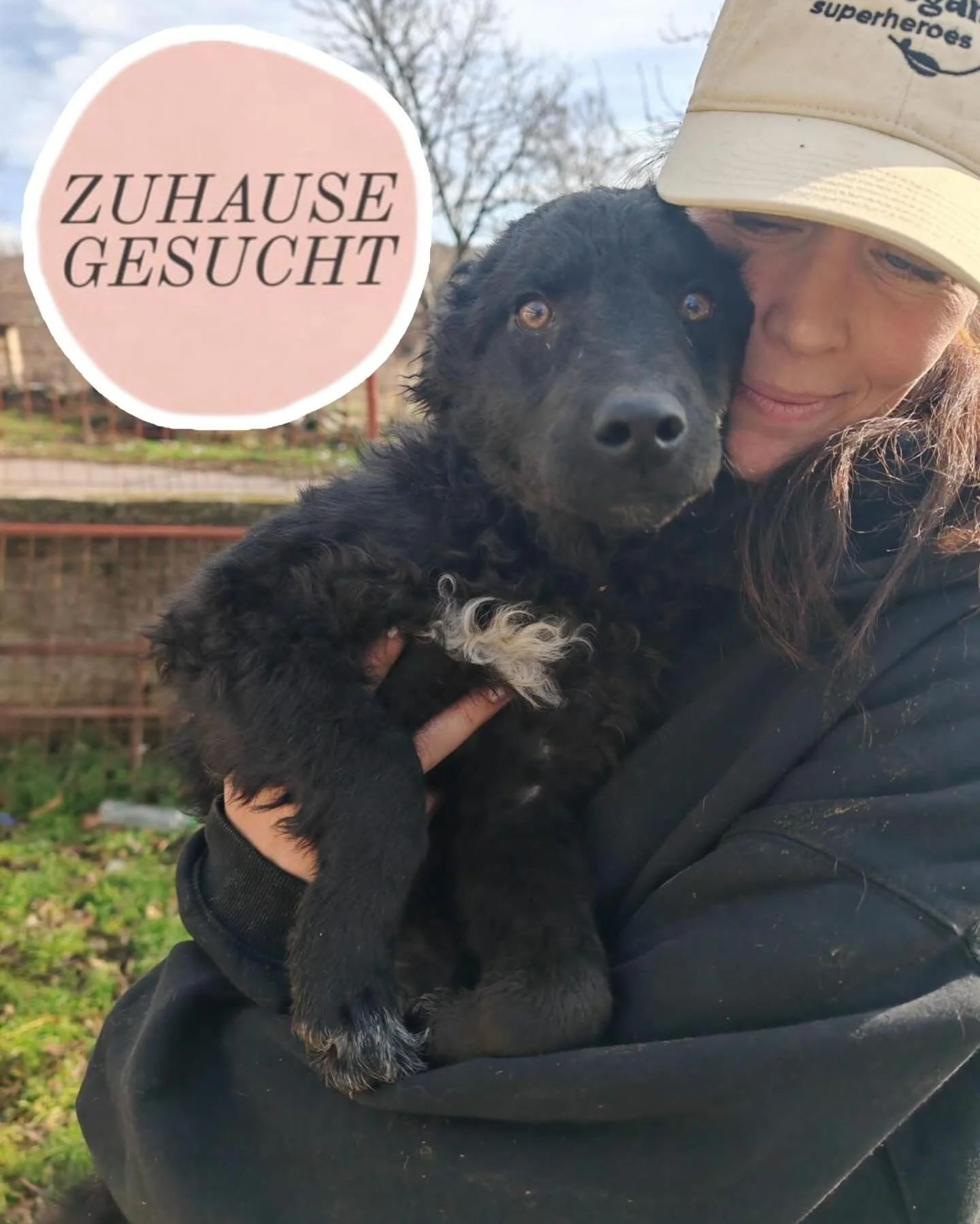 Lieber &amp; verspielter Bike sucht ein Zuhause oder eine Pflegestelle 🩵

Bike ist ein mittelgro&szlig;er vermutlich kroatische Sch&auml;ferhund-Mischlingsr&uuml;de mit einem fr&ouml;hlichen und freundlichen Wesen. Er ist noch jung, verspielt und se