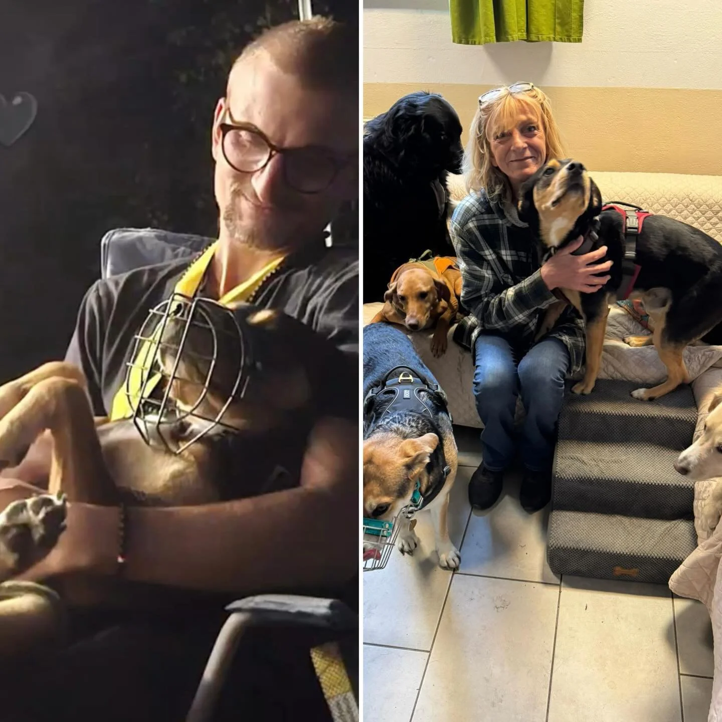 Zako ist angekommen 🩷

Am 29.06.2024 ist Zako aus dem ungarischen Tierheim in Nagykanizsa nach Deutschland gekommen.
Mit Hoffnung. Voller Liebe.
Und mit dem Wunsch, endlich ein gerechtes Leben f&uuml;hren zu d&uuml;rfen.

Doch sein Weg war nicht lei