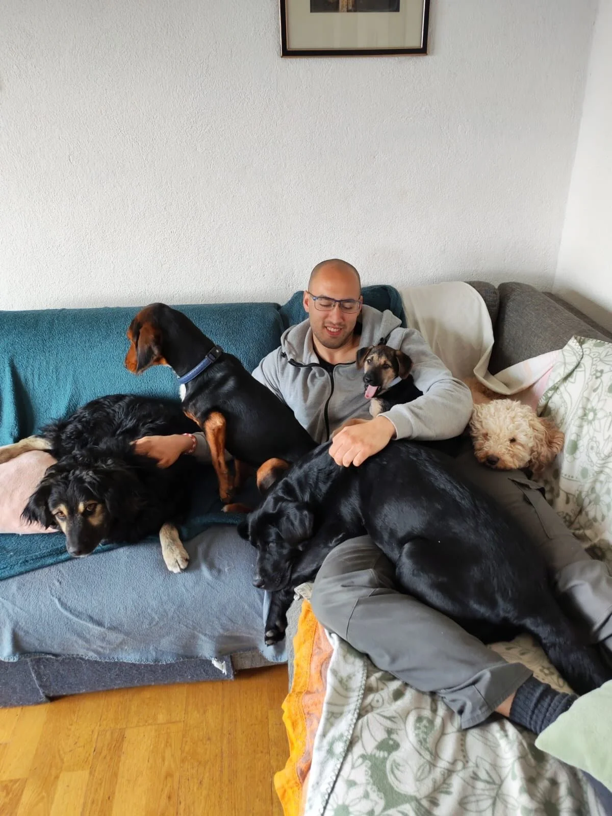 Wir m&ouml;chten euch heute gerne Rade und seine Familie vorstellen. 💕

Sie leben in Kroatien in Knin und nehmen Pflegetiere in ihrem liebevollen und warmen Zuhause auf. Hunde, Katzen, Hasen und lehnen kein Tier ab, das Hilfe braucht. 

&Uuml;brigen