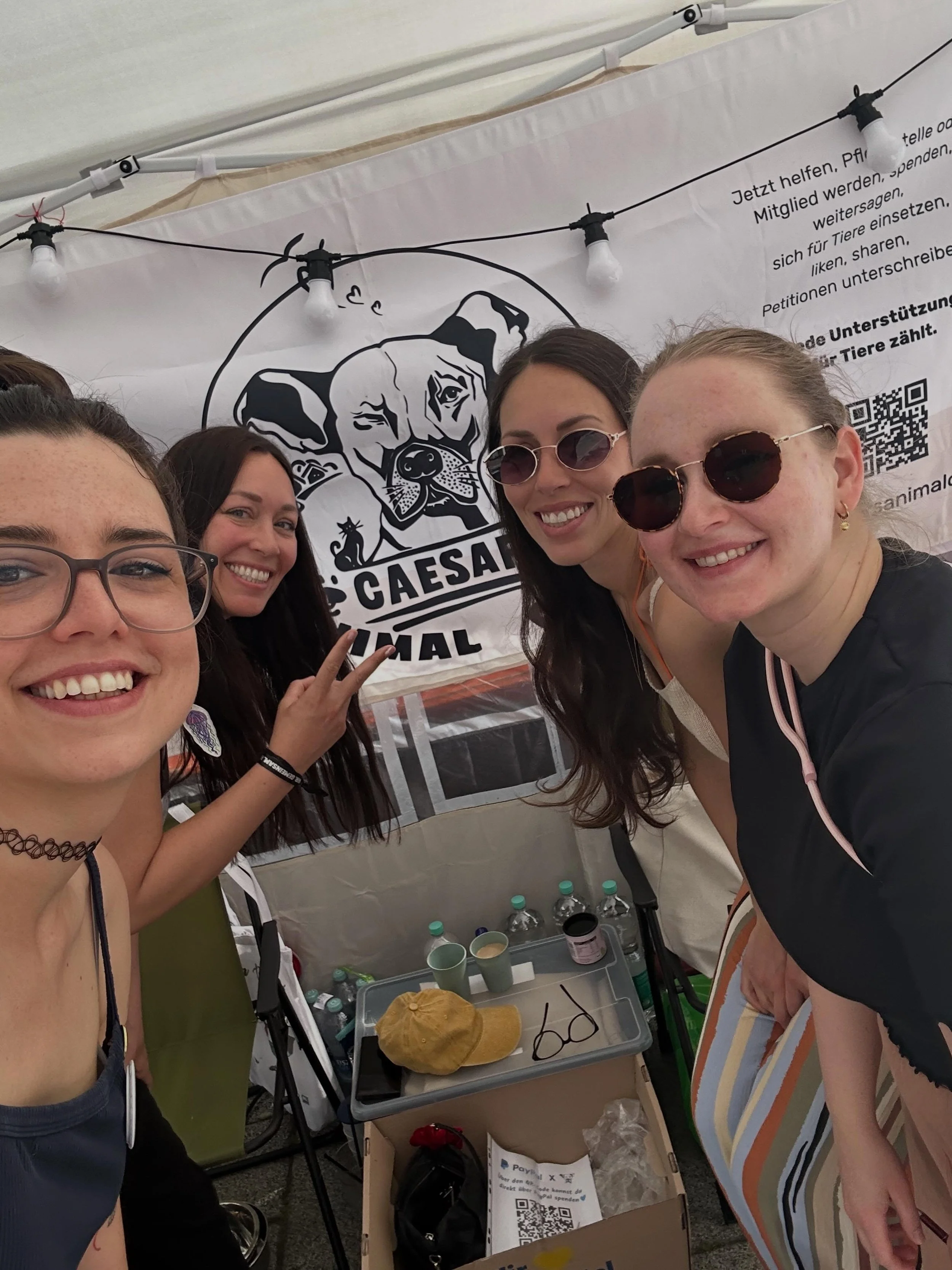 @veganstreetdays.stuttgart 🩷

#adoptdontshop❤️ #caesarsanimalclub