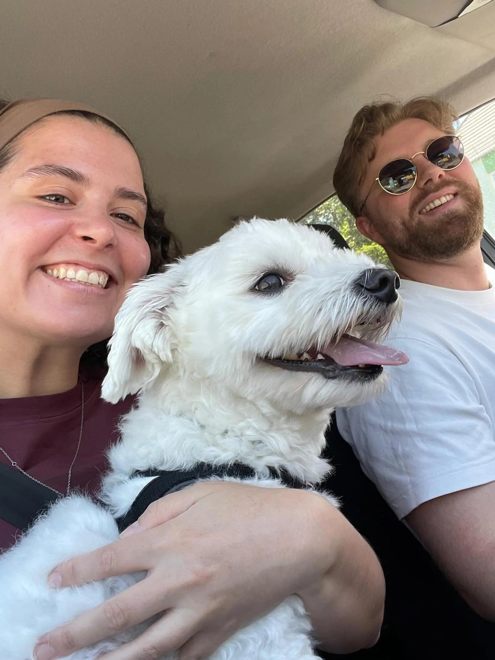 Erinnert ihr euch noch an Blue? Wir haben hier Vermittlungshilfe geleistet &amp; die wundervollen Menschen Rica &amp; Christian kennengelernt, die jetzt Blues neue Familie sind. Danke, dass ihr euch gegen den Kauf eines Hundes beim Z&uuml;chter entsc
