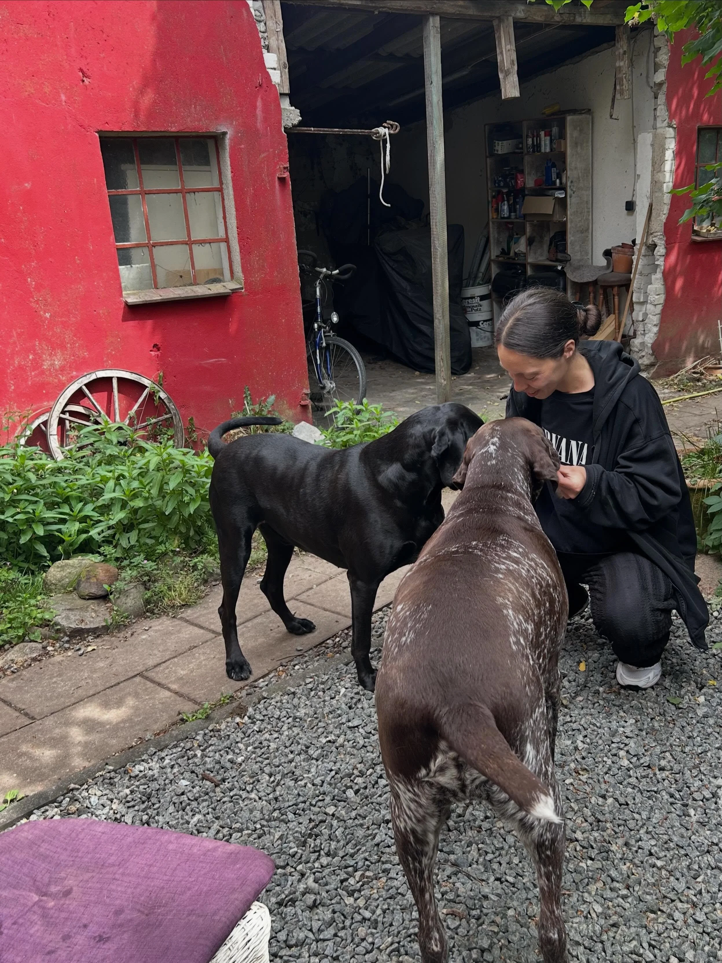Am vergangenen Wochenende durften wir nicht nur Cash in sein neues Zuhause bringen sondern auch Hecki (ehemals Charlie) in seinem Zuhause besuchen.

Besonders ber&uuml;hrt hat uns jetzt auch live zu sehen, wie sich Hecki entwickelt hat. Ein Hund, der