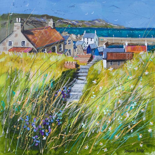 Sunny Day, St. Abbs