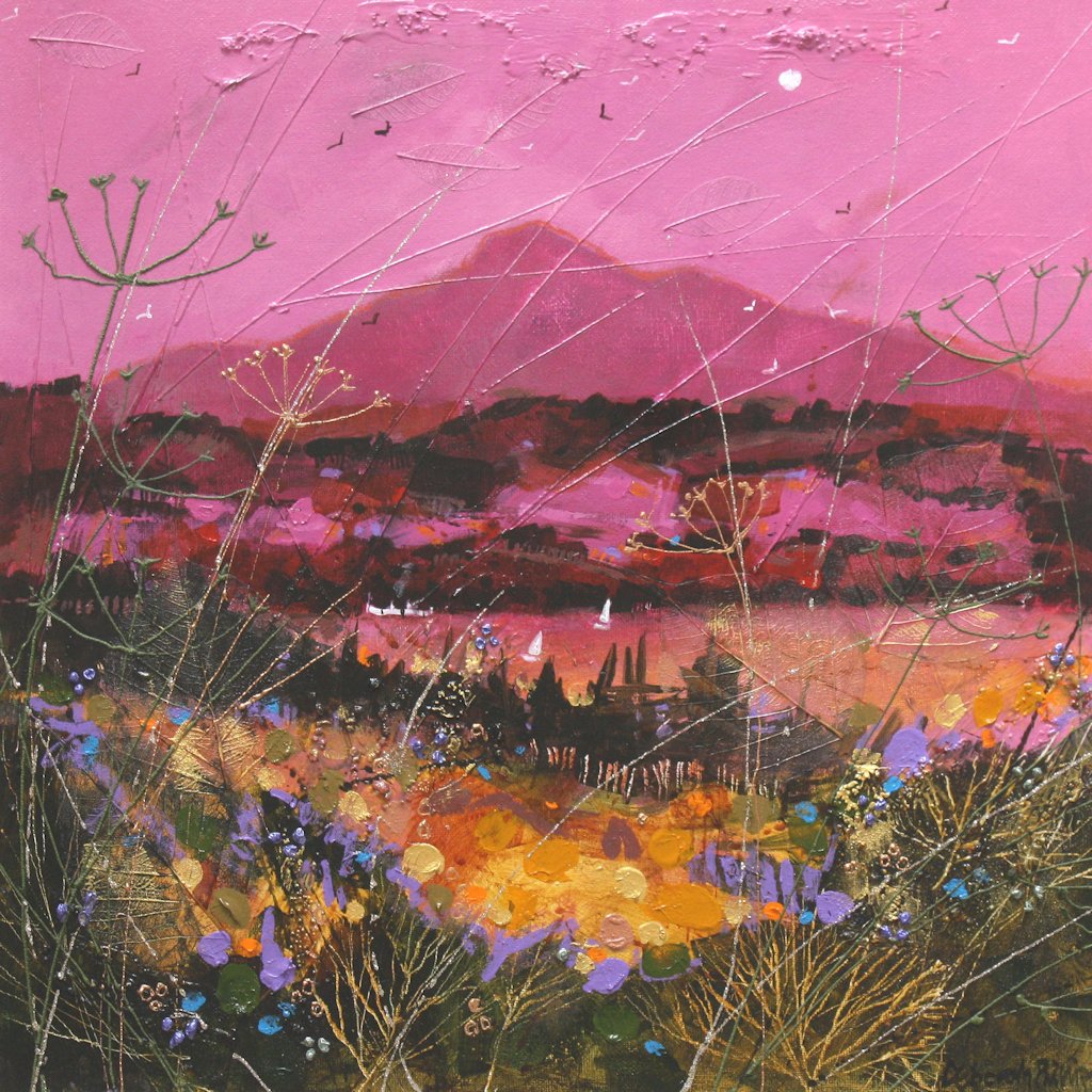 Rosy Arran Sky