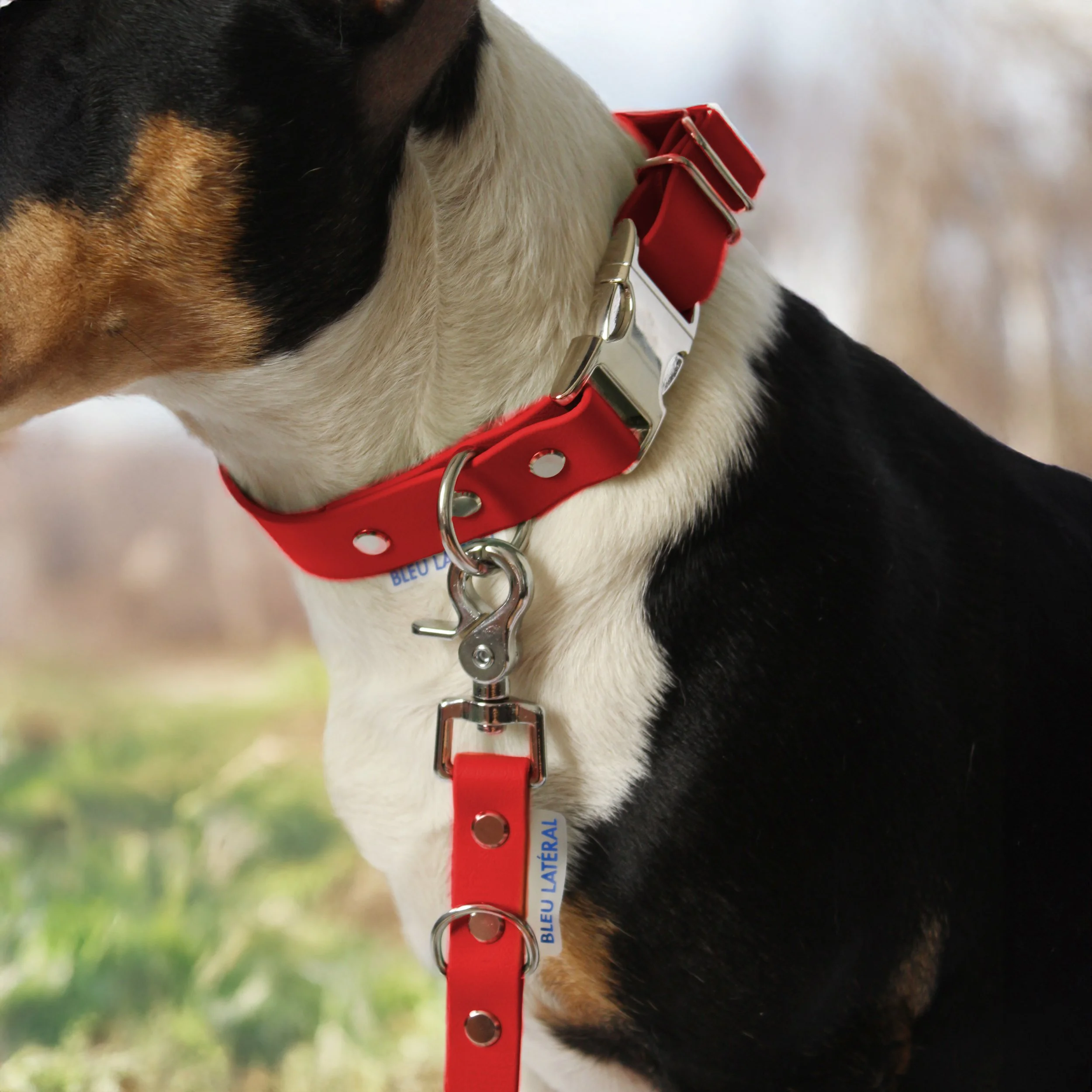 collier CLIP biothane impermeable resistant rougemodele teri.jpg