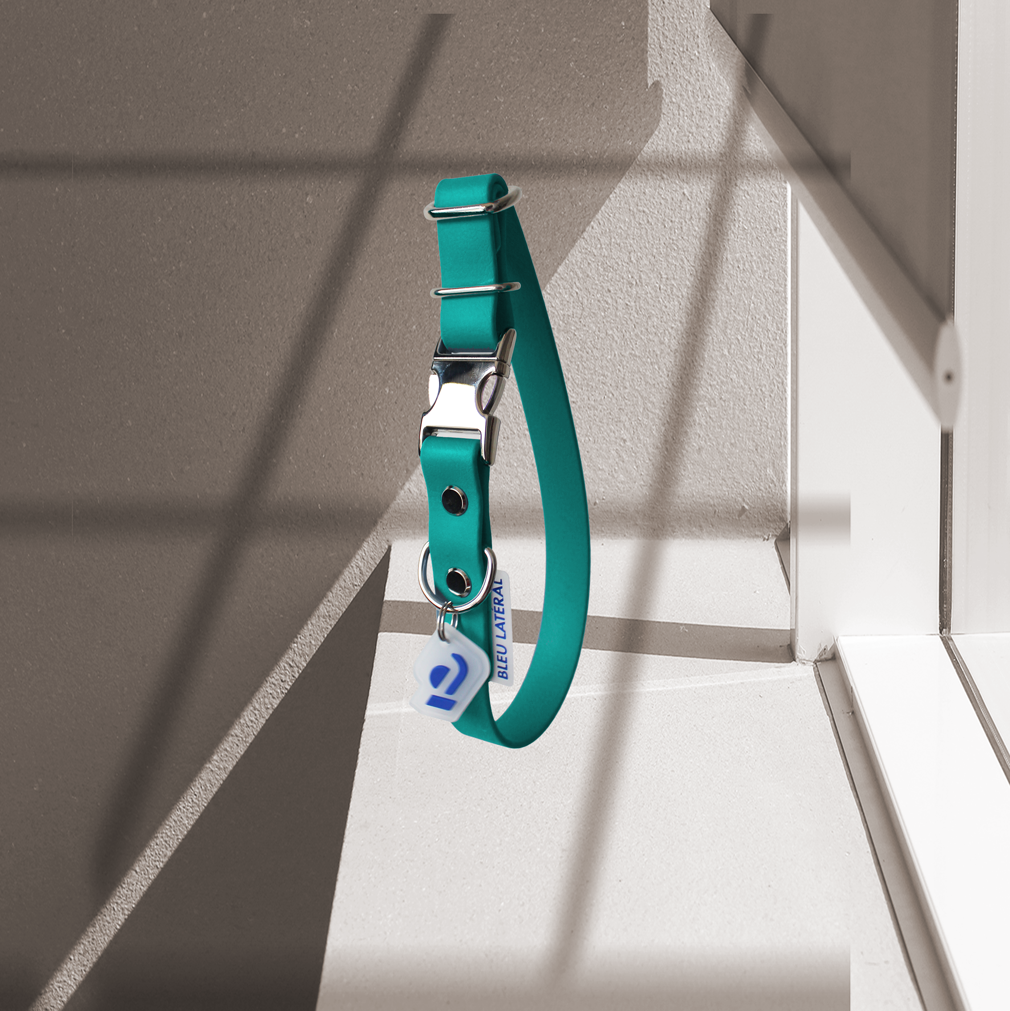 CLIP Vert