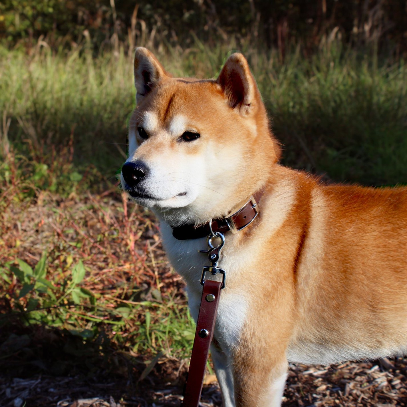 koki+marron+fonc%C3%A9.jpg