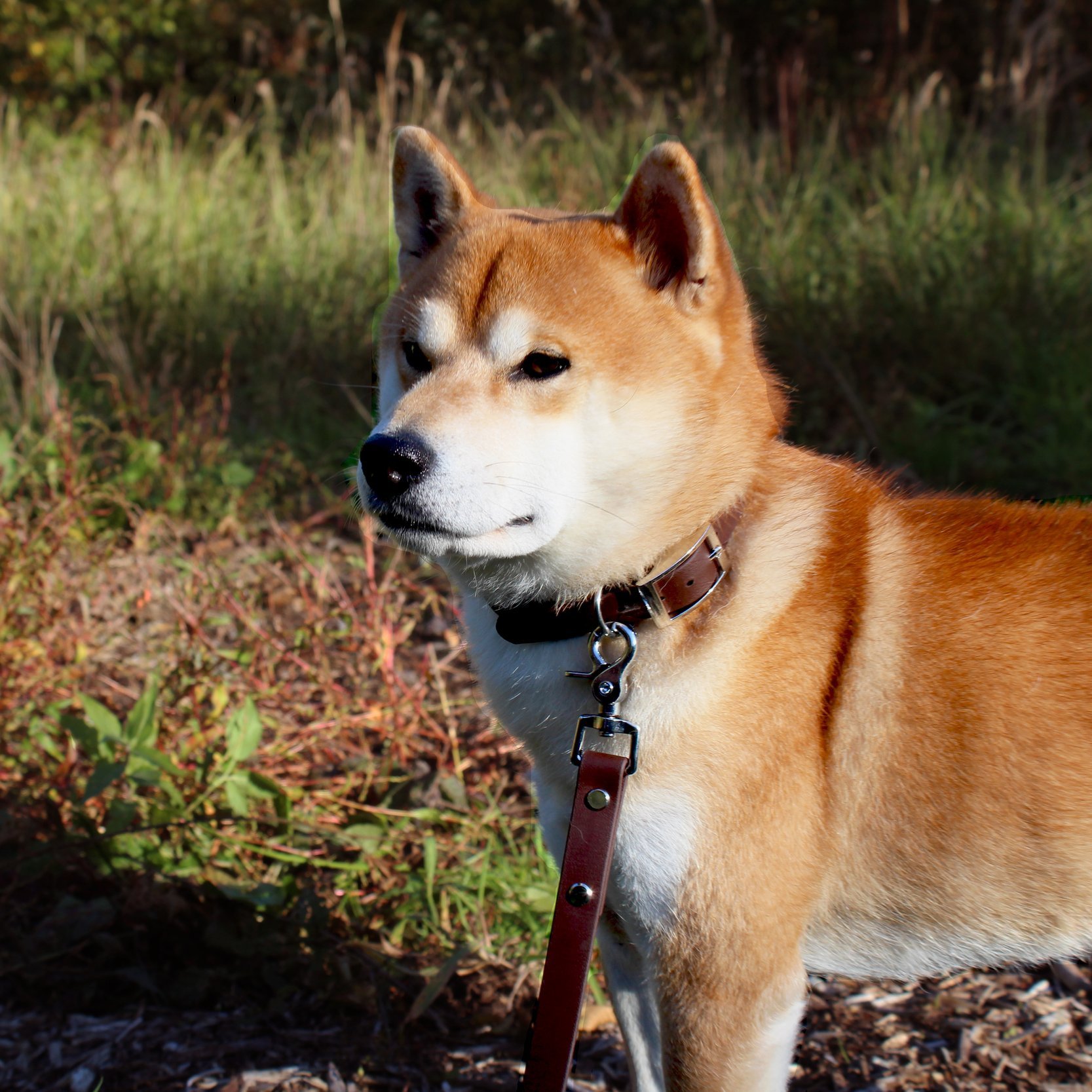 koki+marron+fonc%C3%A9.jpg