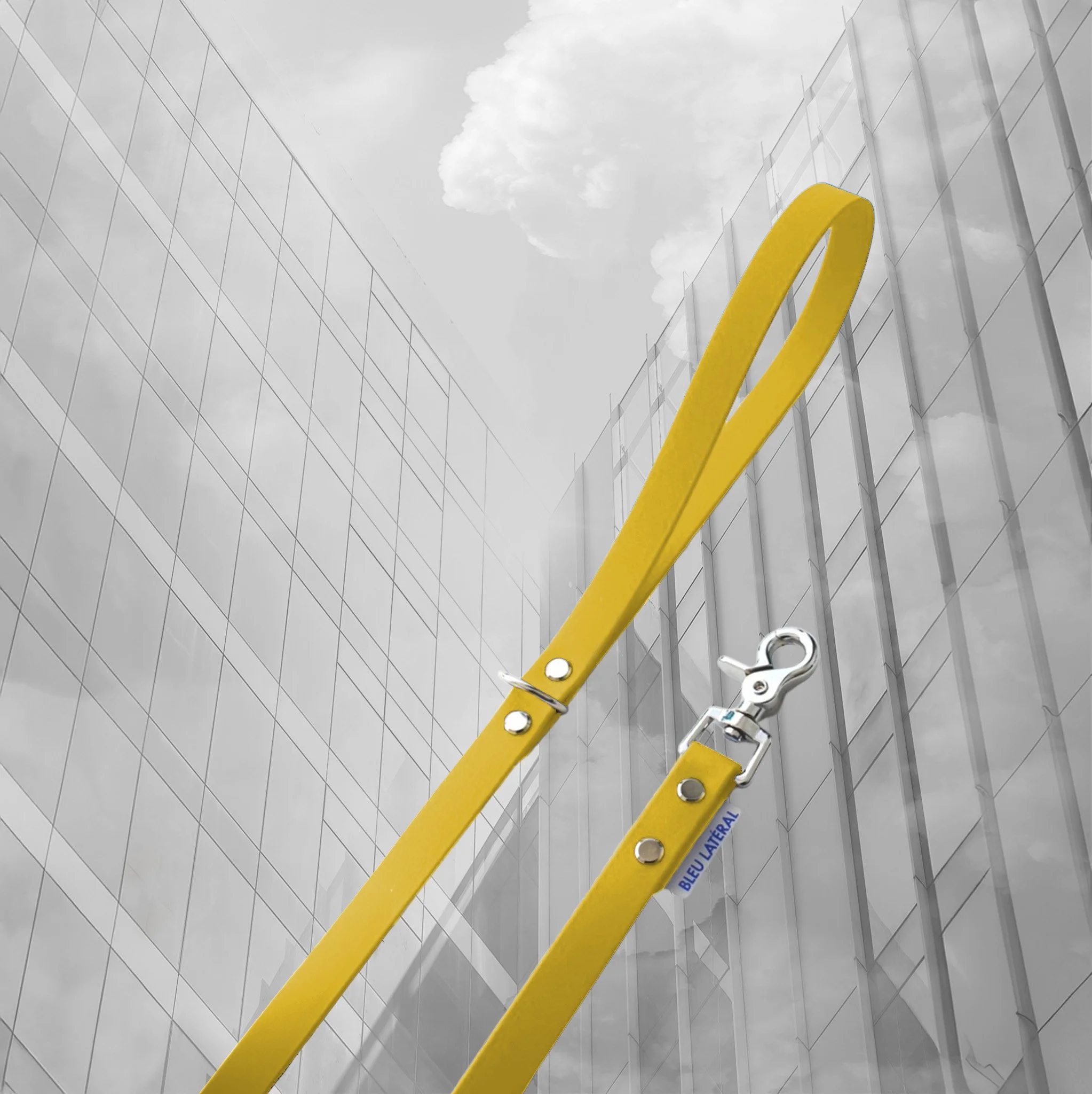 laisse uni chien impermeable resistant biothane jaune acier 2.jpg