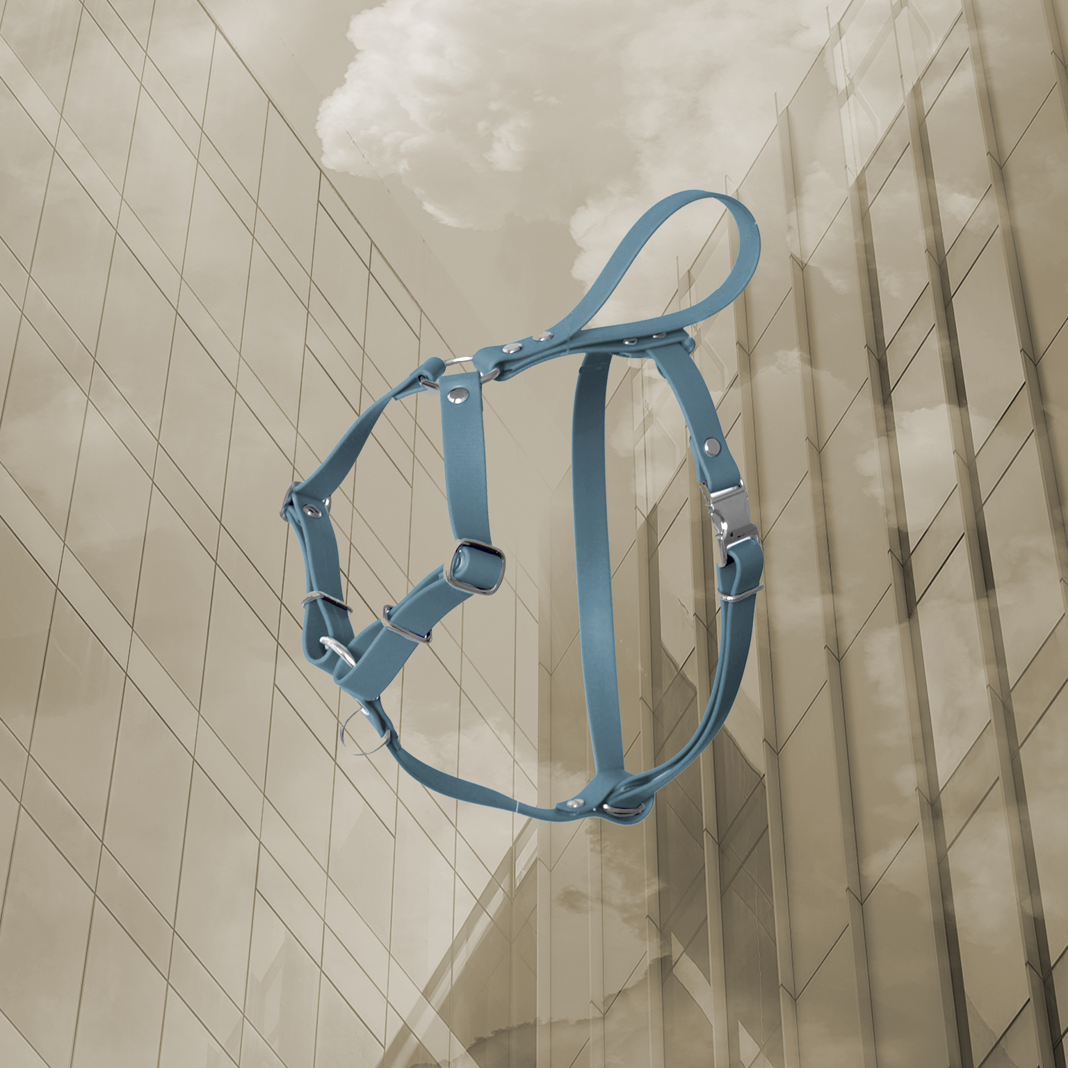 Harnais Classique Pétrole – Confort et liberté de mouvement