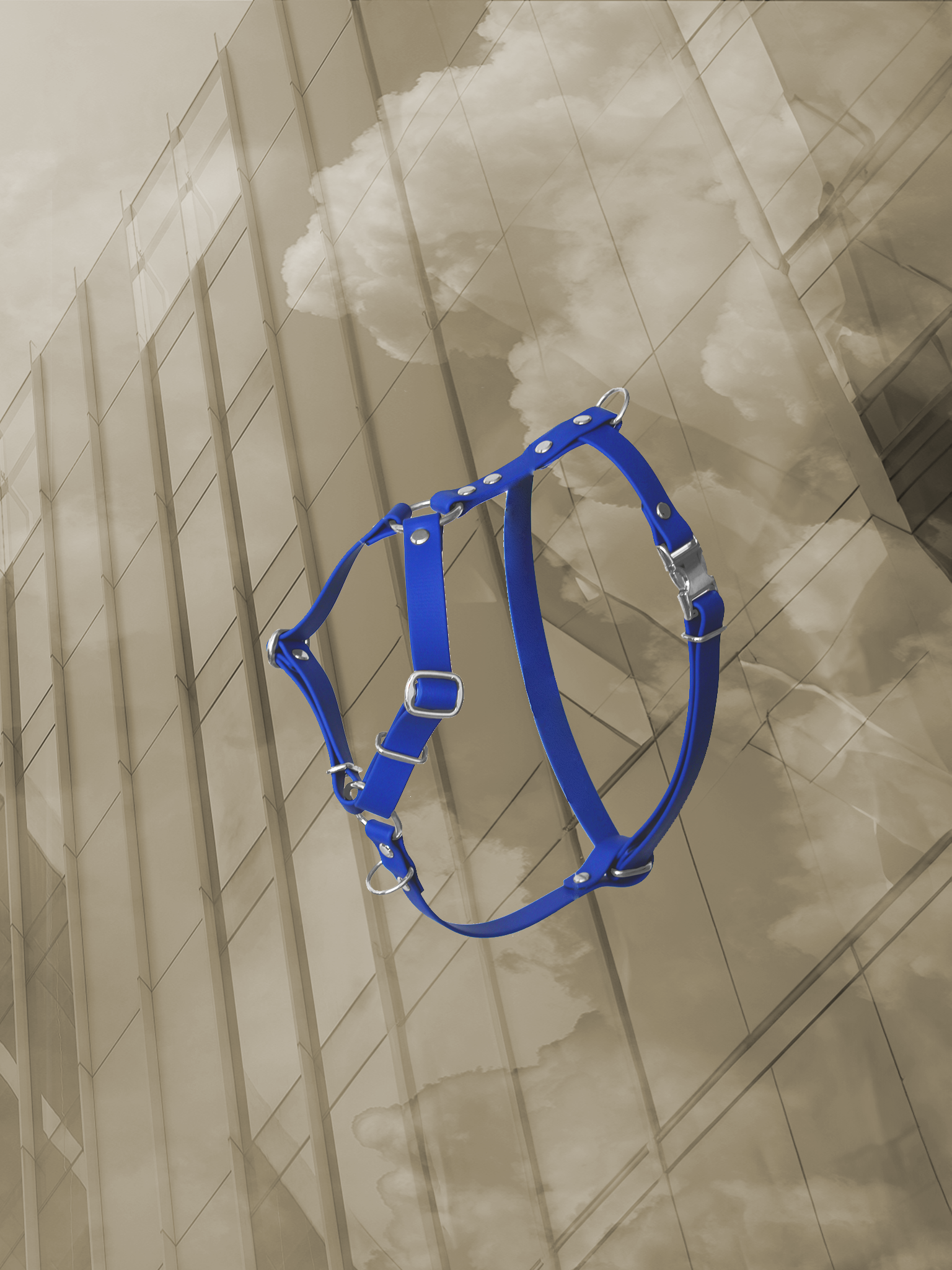 harnais chien ville Y bleu biothane.png