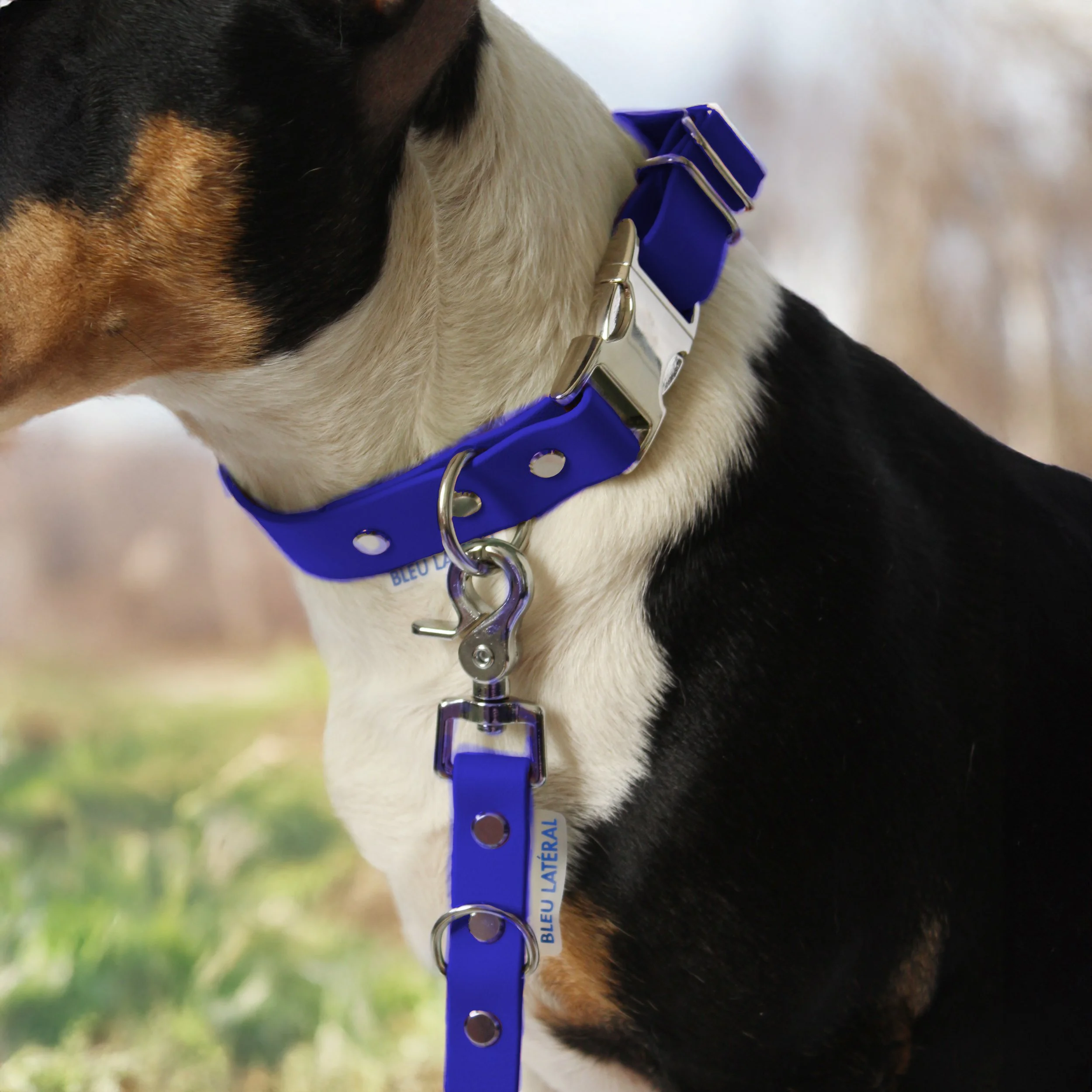 collier CLIP biothane impermeable resistant bleu modele teri.jpg