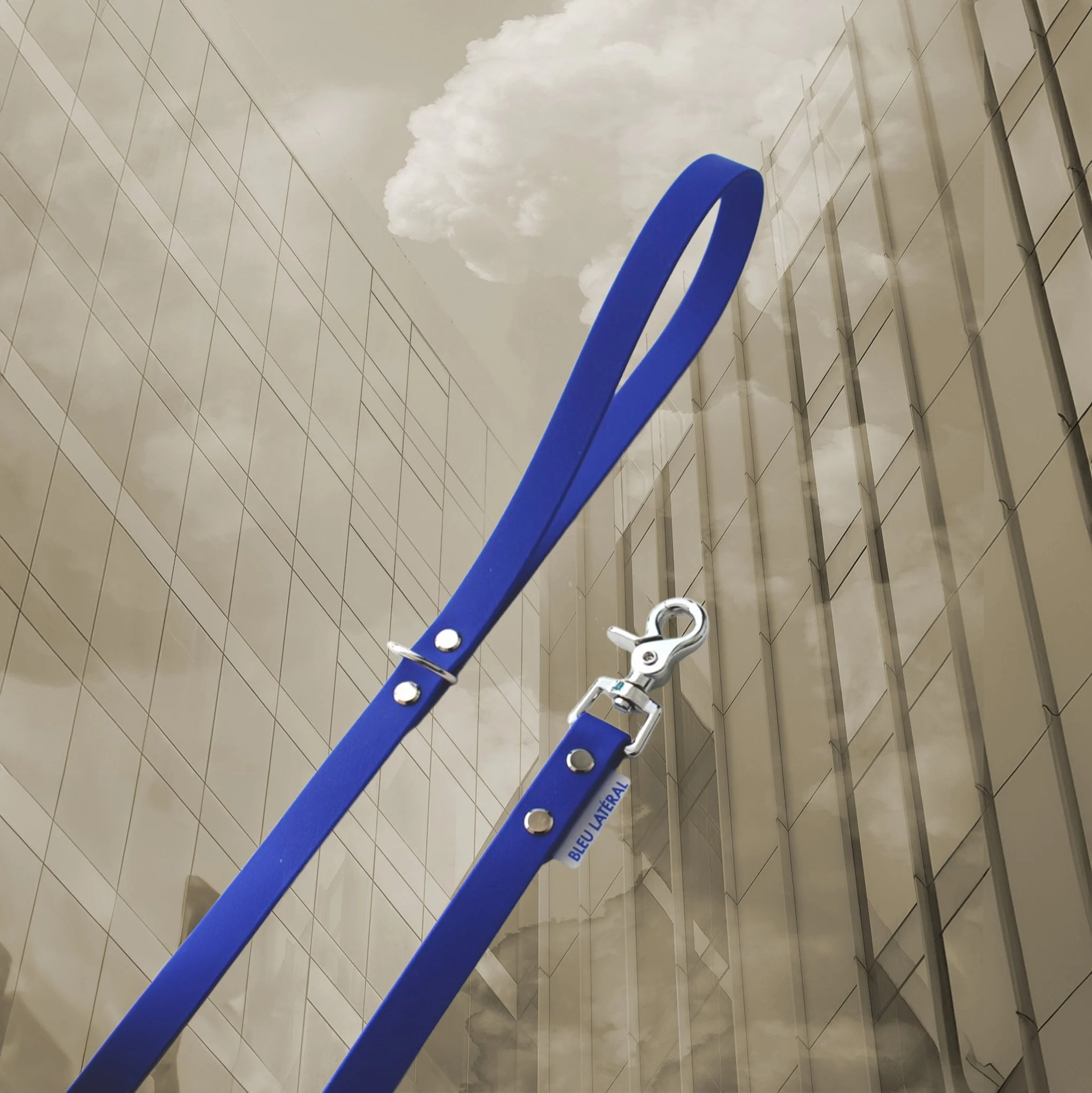laisse uni chien impermeable resistant biothane bleu electrique acier.jpg