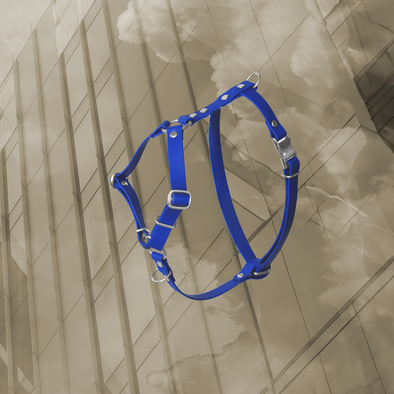 Harnais Classique Bleu