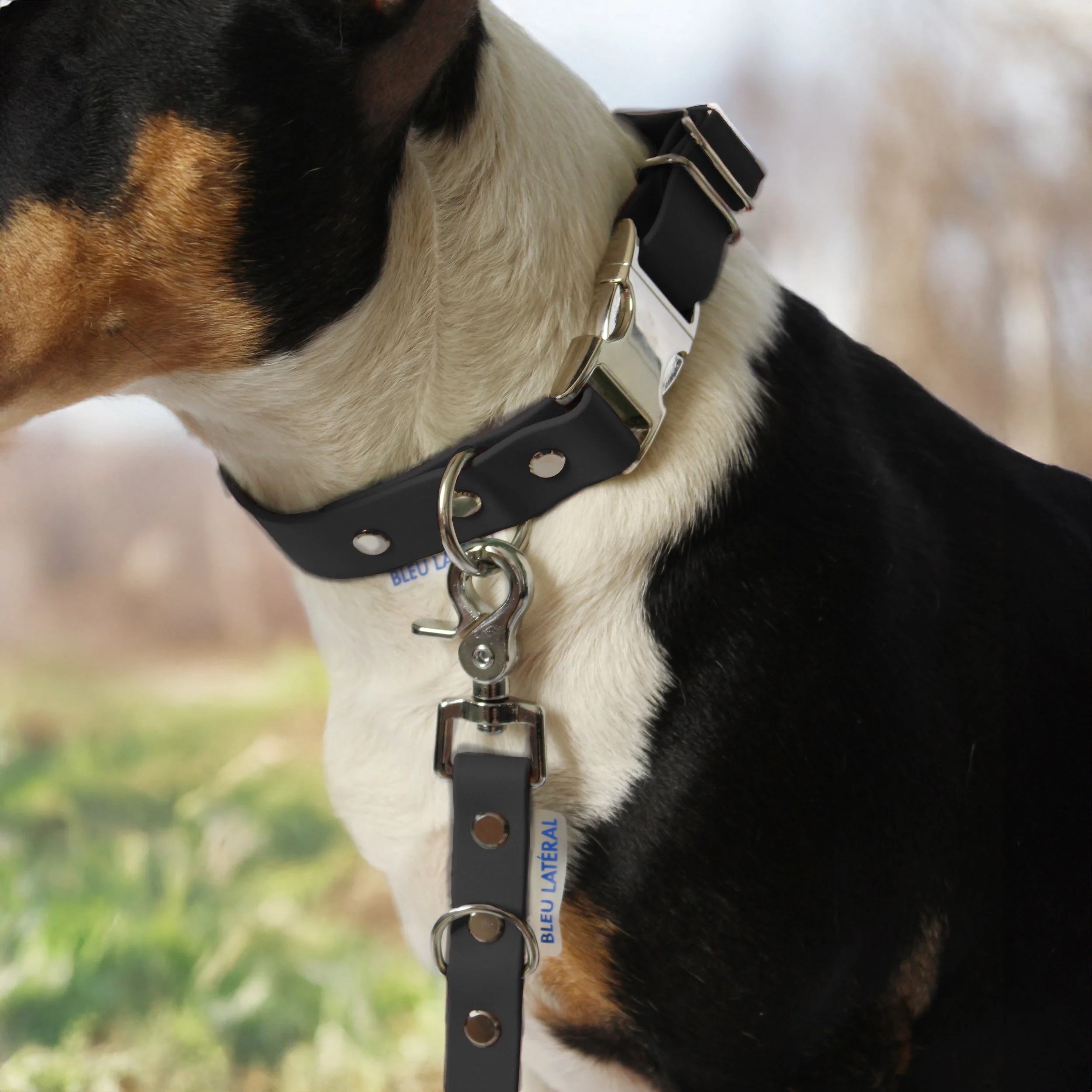 collier CLIP biothane impermeable resistant noir modele teri.jpg