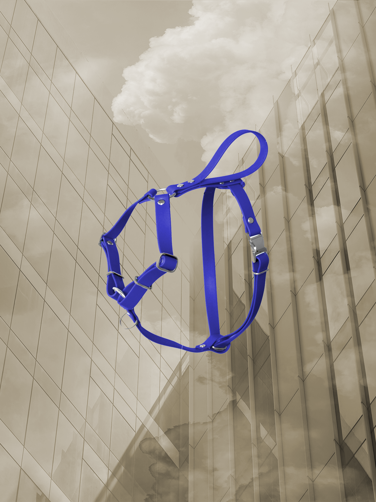 harnais chien ville Y bleu biothane poignee.png