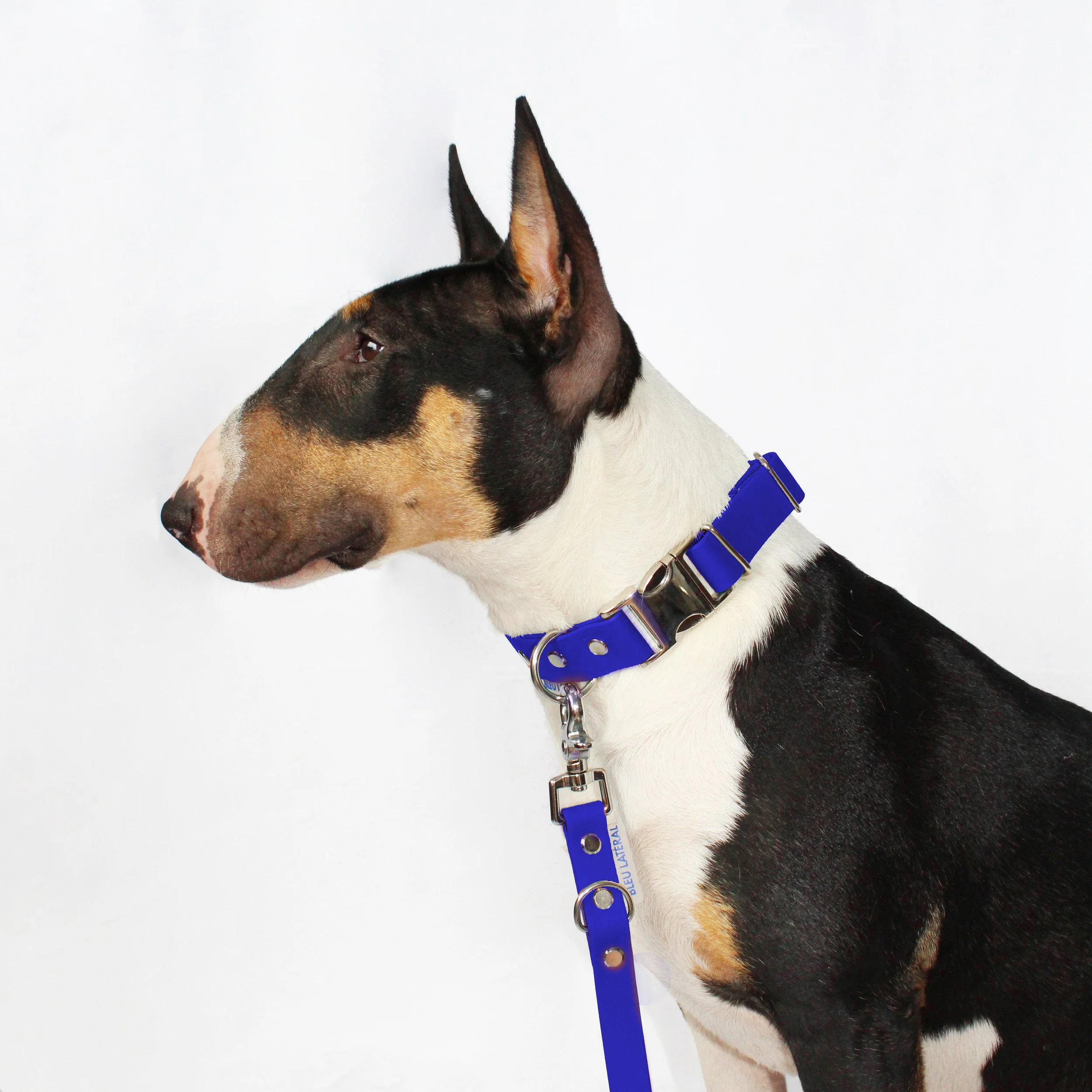 collier CLIP biothane impermeable resistant bleu modele teri profil.jpg