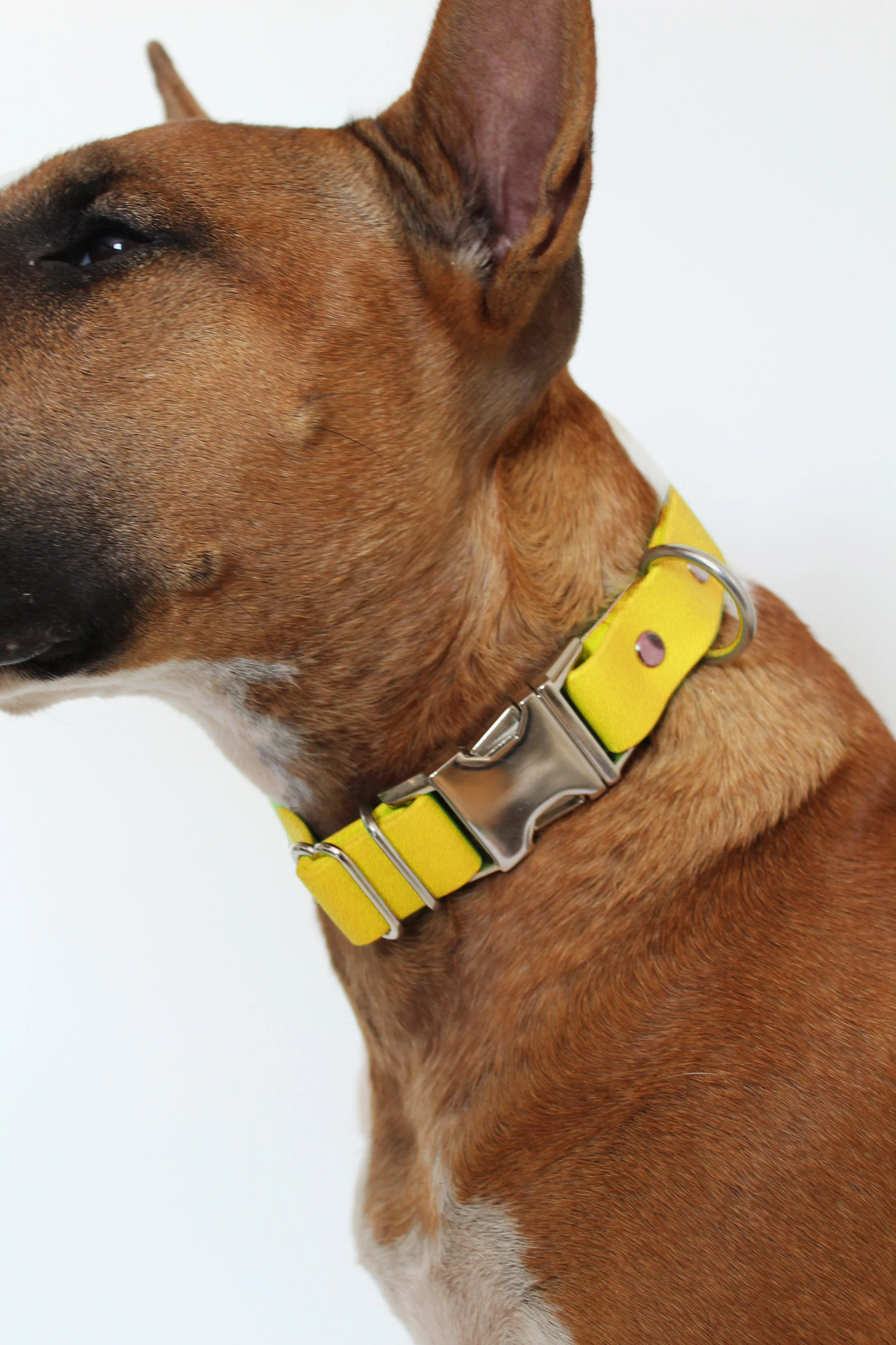 clip limité quézacjaune acier.jpg