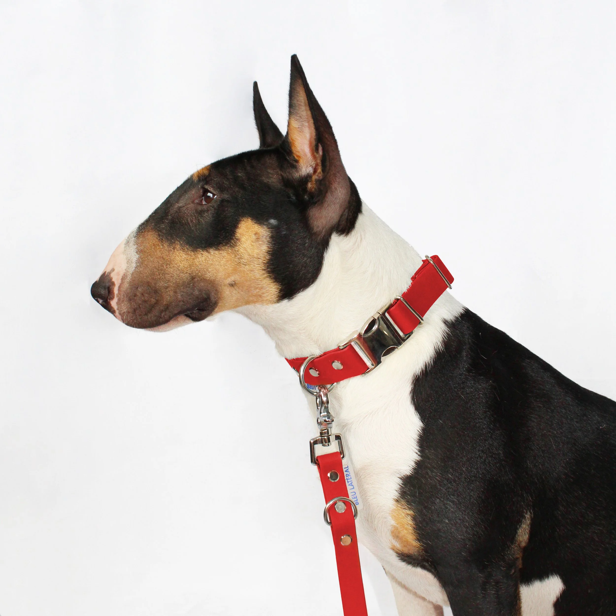 collier CLIP biothane impermeable resistant rouge modele teri profil.jpg