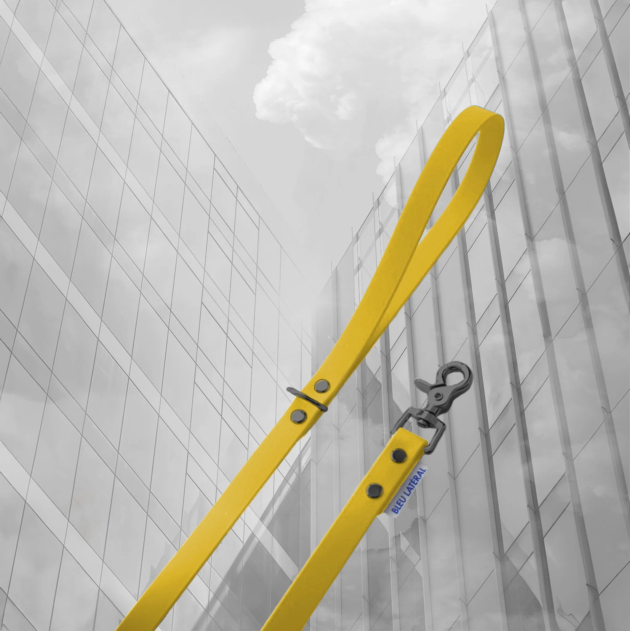 laisse uni chien impermeable resistant biothane jaune NOIR.jpg